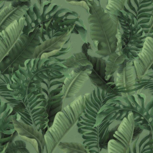 Tropical Forest | Green
