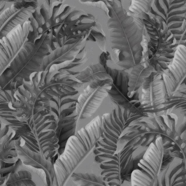 Vertoon produk Tropical Forest | Grey van vervaardiger Absoluta Collection