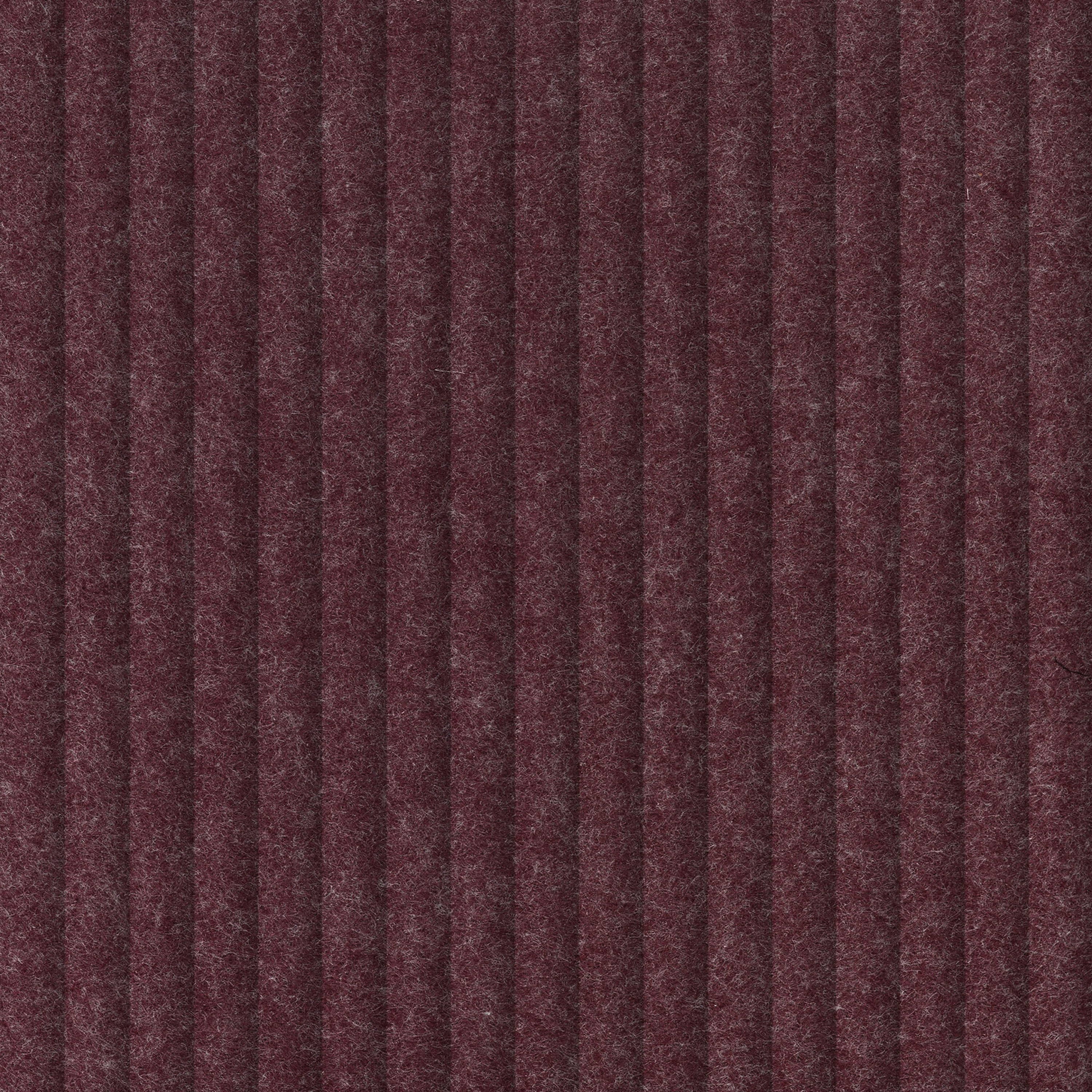 Zen 269