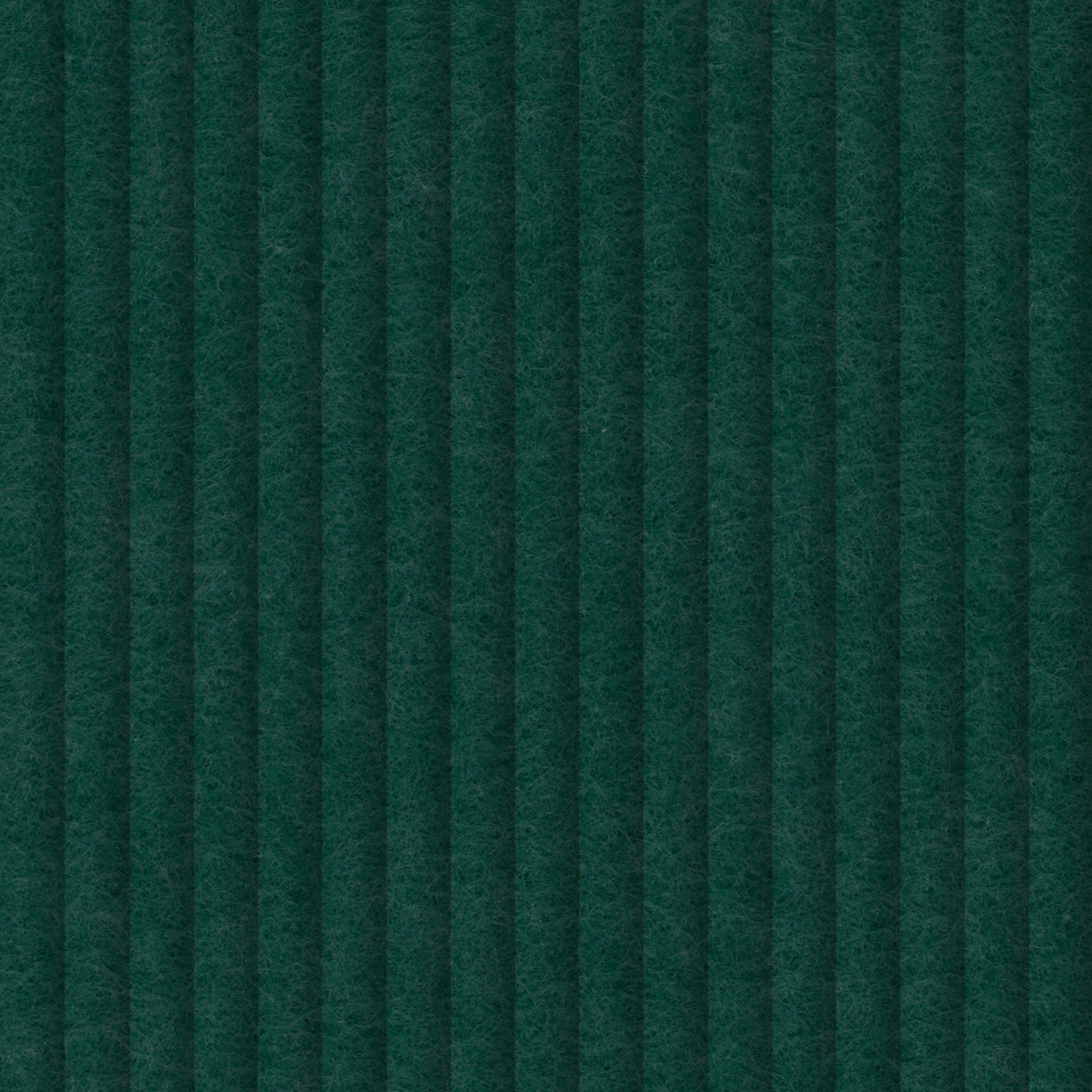 Zen 330