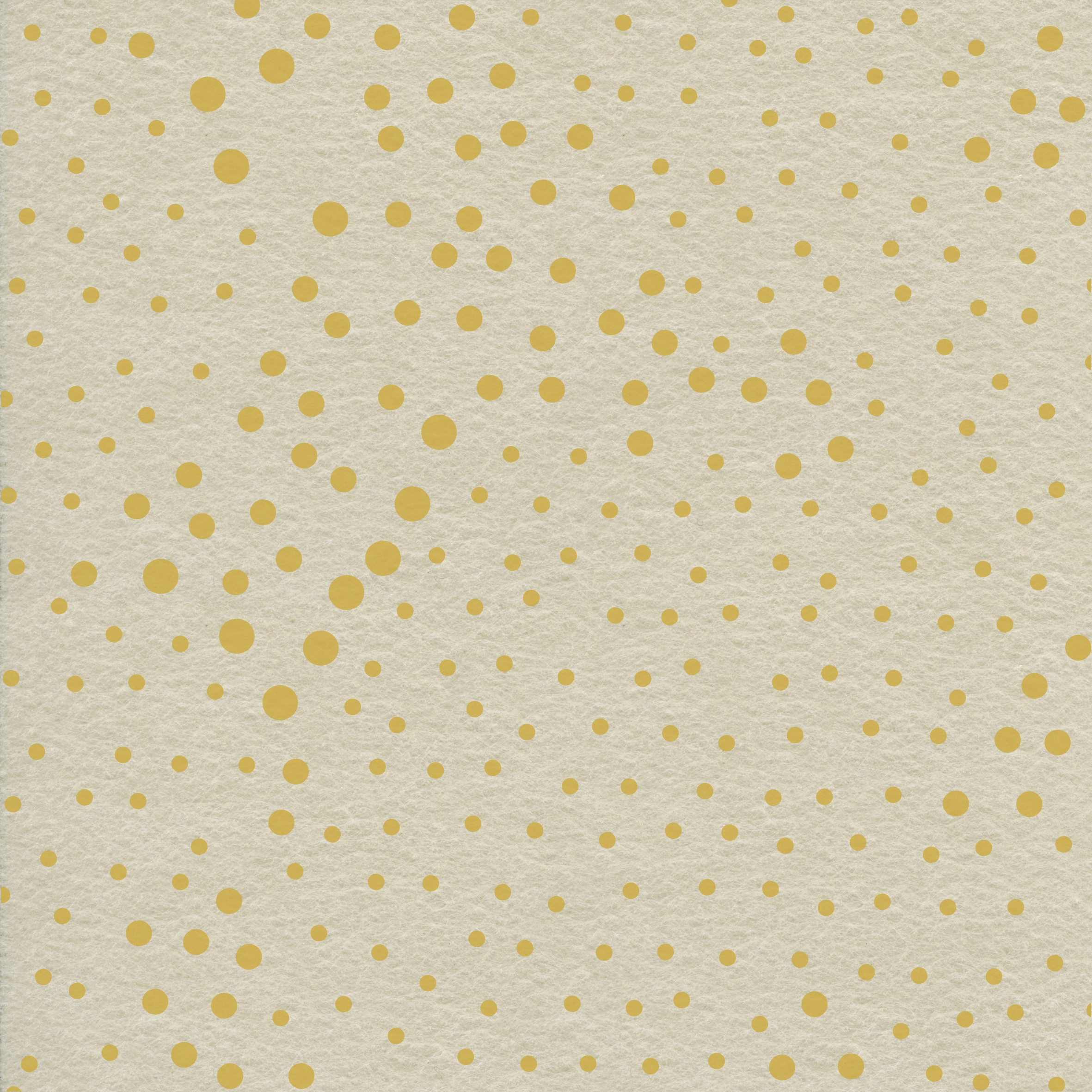 EchoPanel® Cloudy 124