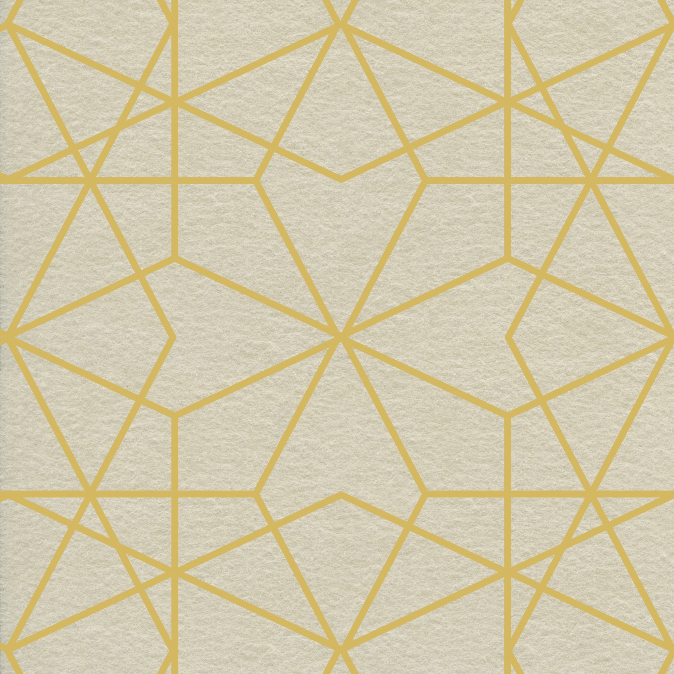 EchoPanel® Kaleidoscope124