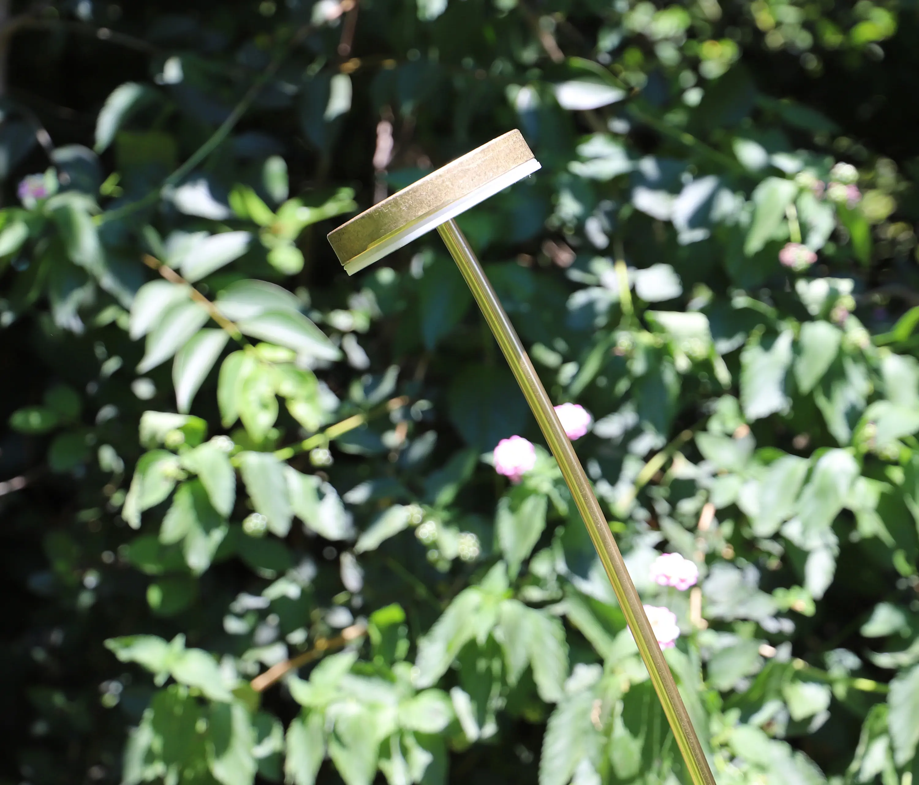 BRIGHT SPECIAL LIGHTING S.A. - Viso Talis Curve