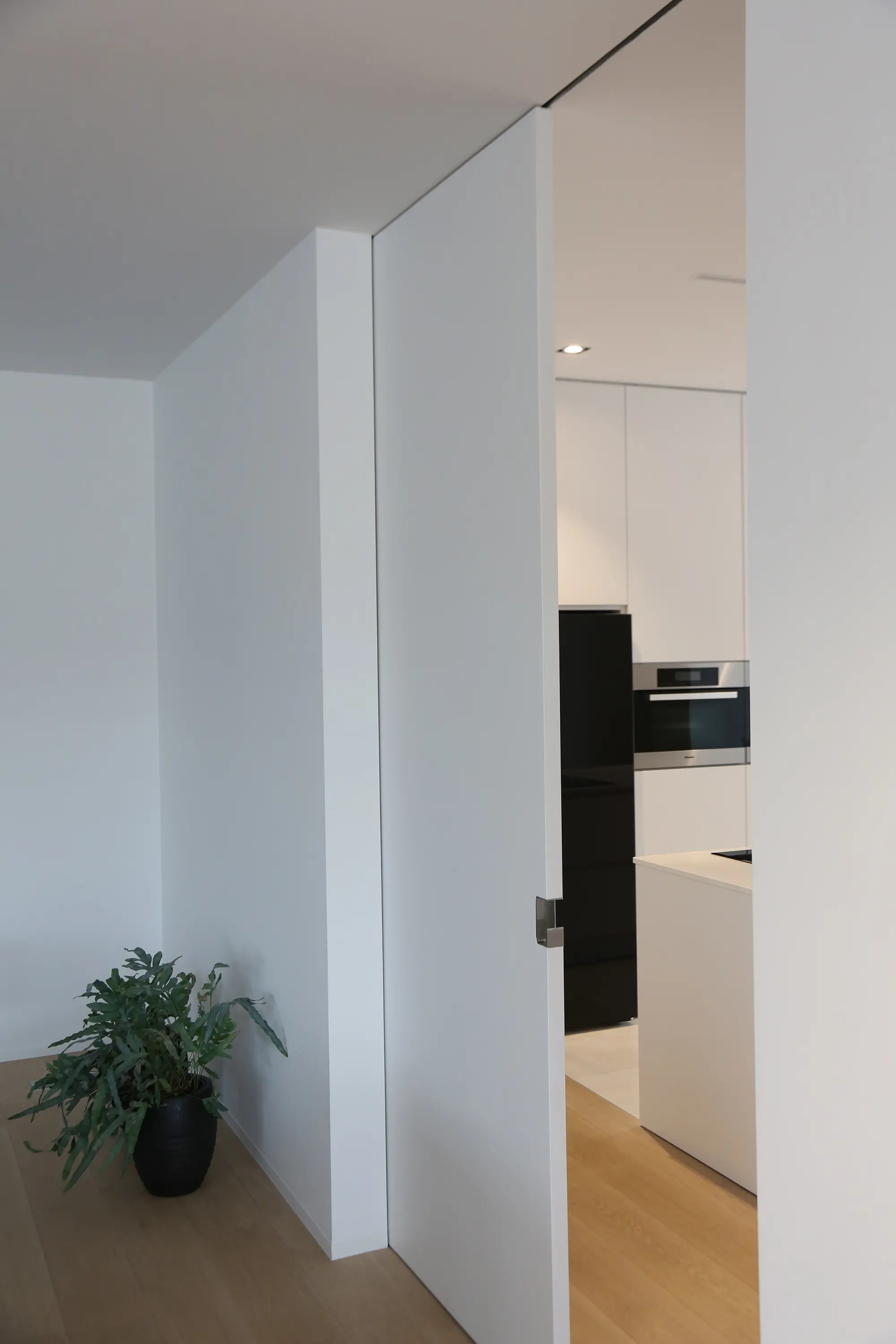 ARLU - Argenta Latent wood