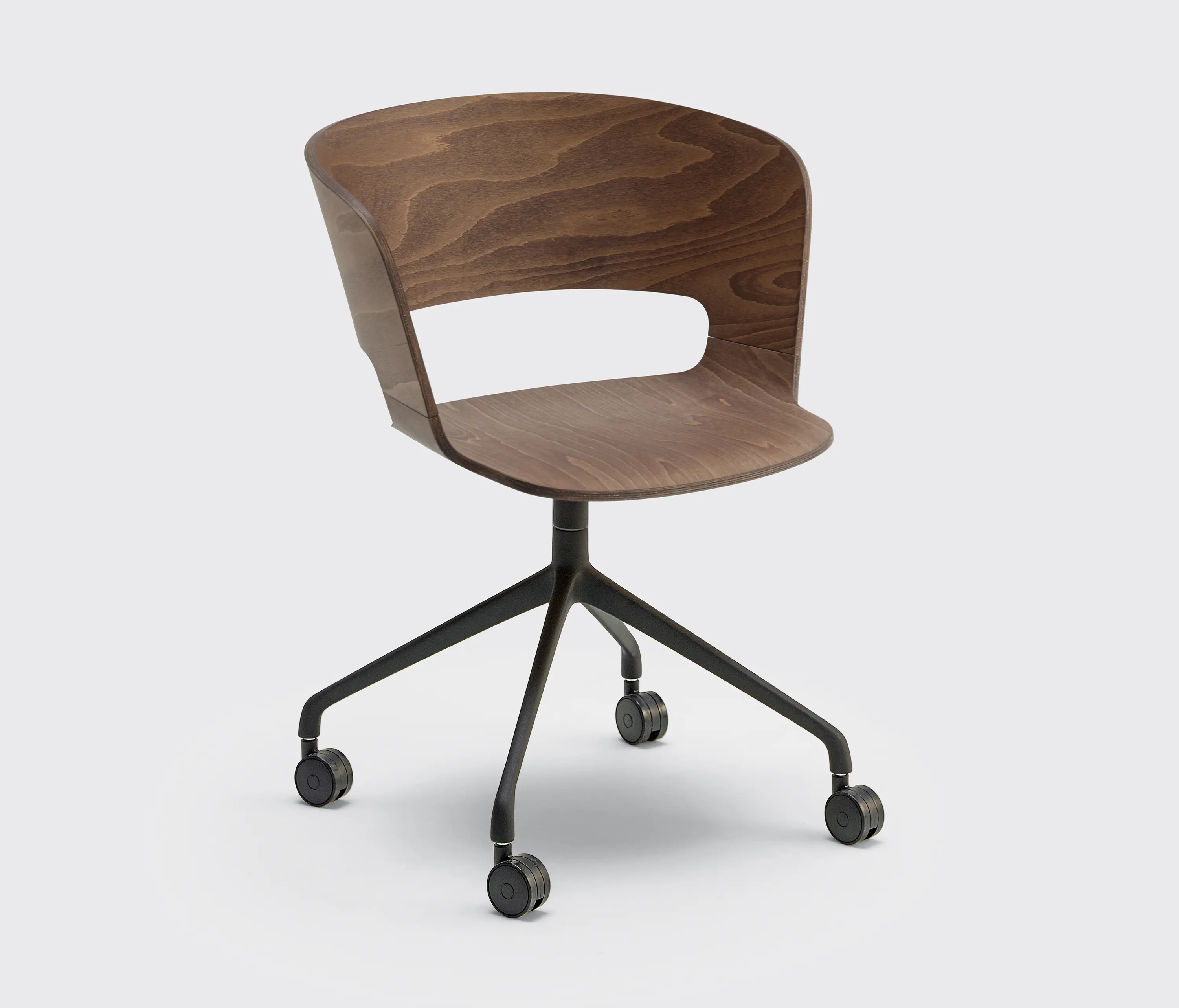 Cantarutti - RIBBON Swivel Armchair B.36.0/F