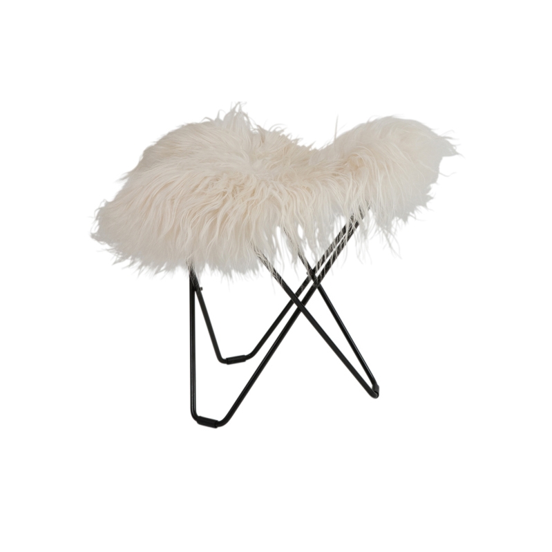Iceland Flying Goose Wild White Black Frame