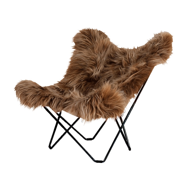 Iceland Mariposa Wild Brown Black Frame