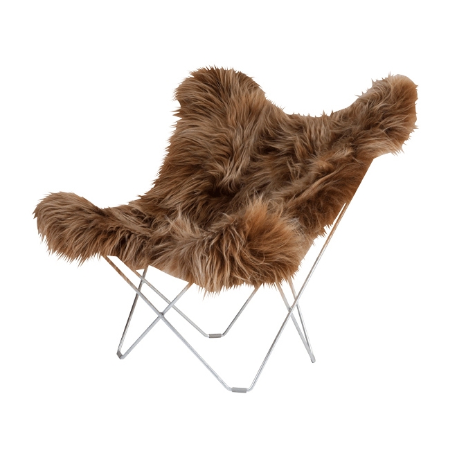 Iceland Mariposa Wild Brown Chrome Frame