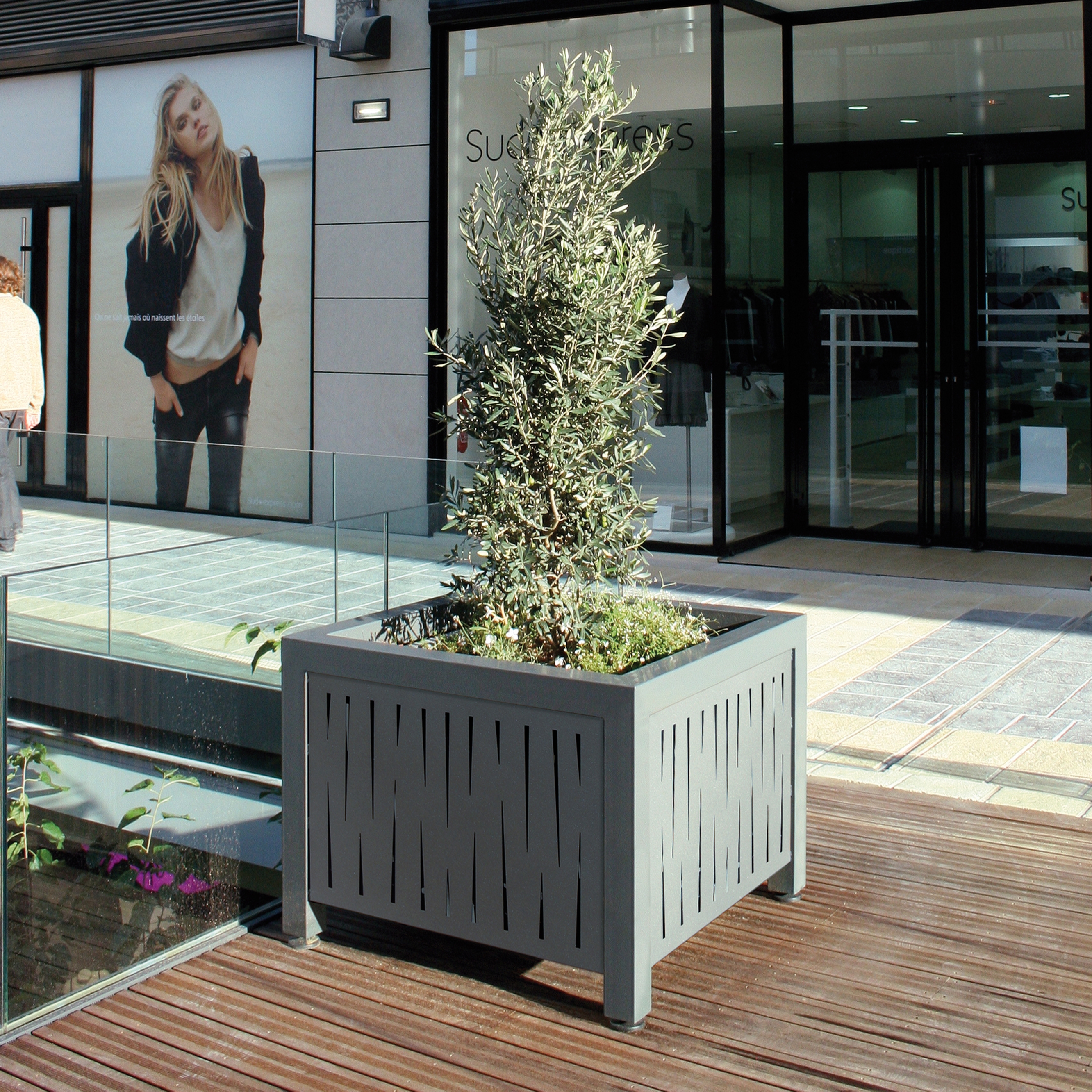 PLANTERS