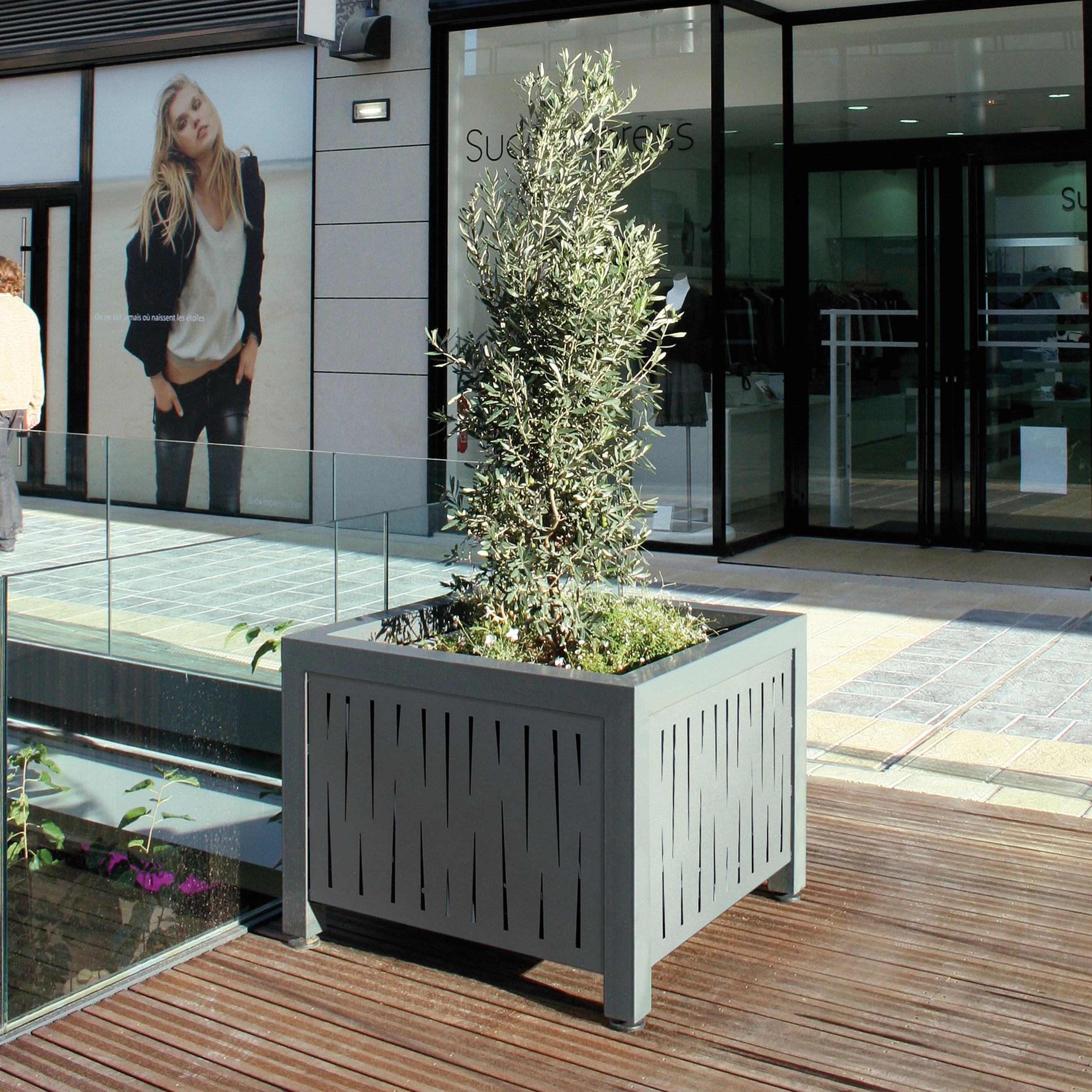 PLANTERS