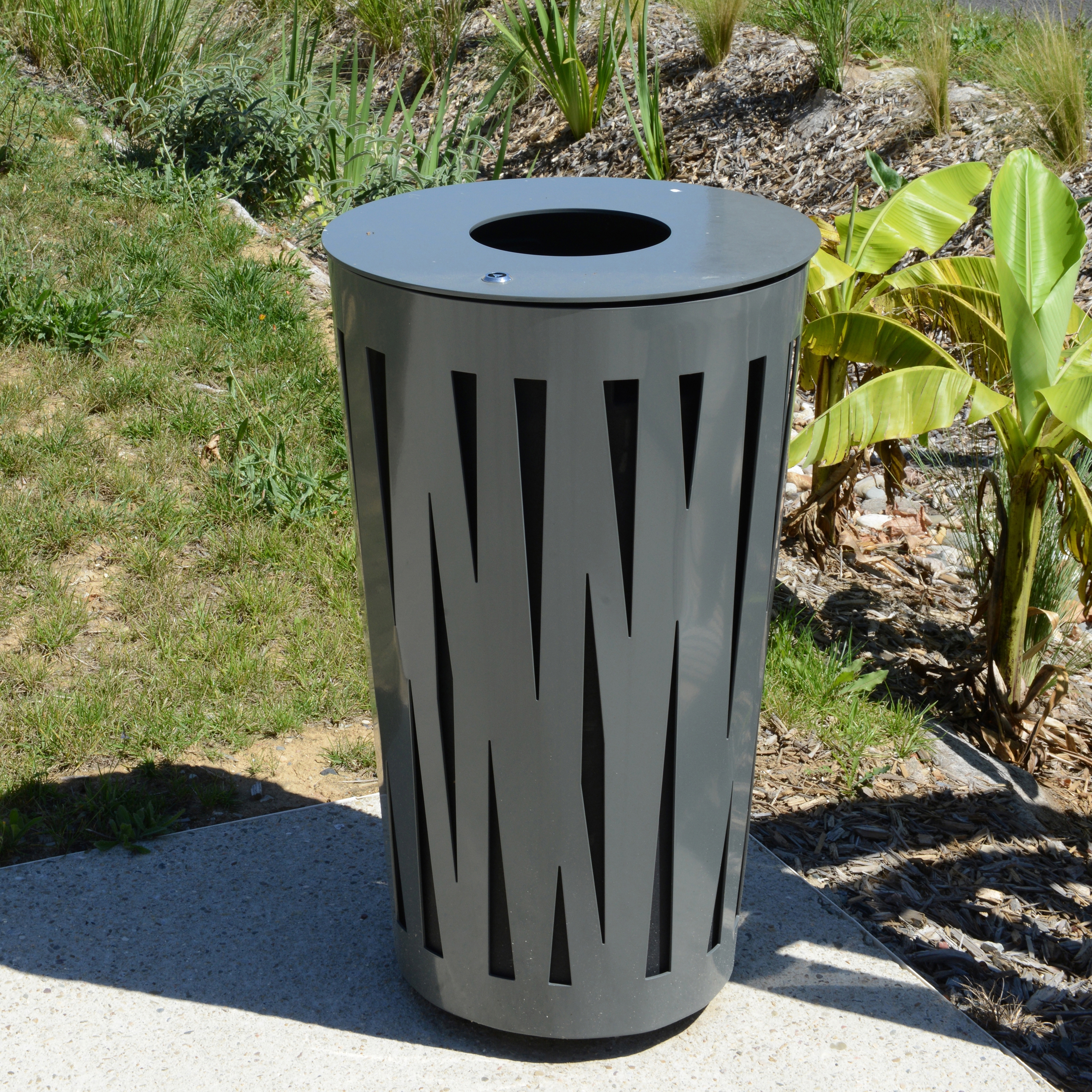 Evolution Bin