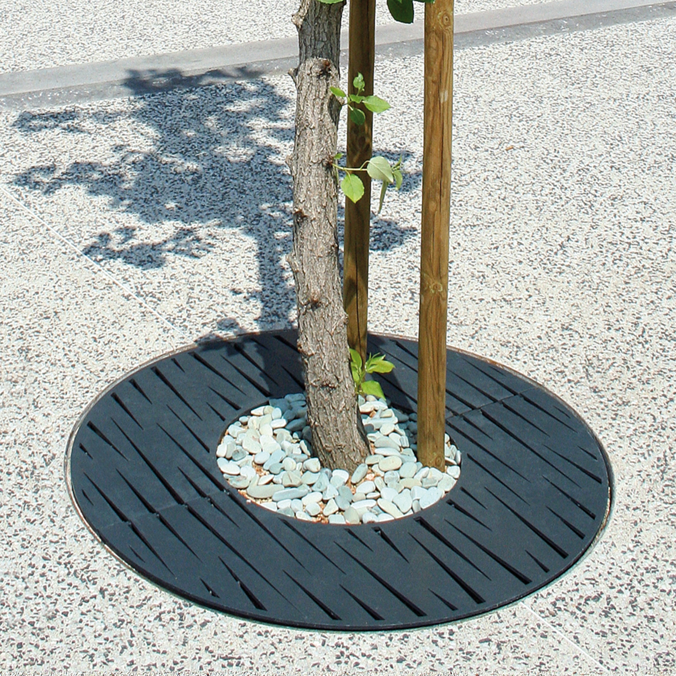 Display product Evolution Tree Grates from manufacturer Univers et Cité - Mobilier urbain