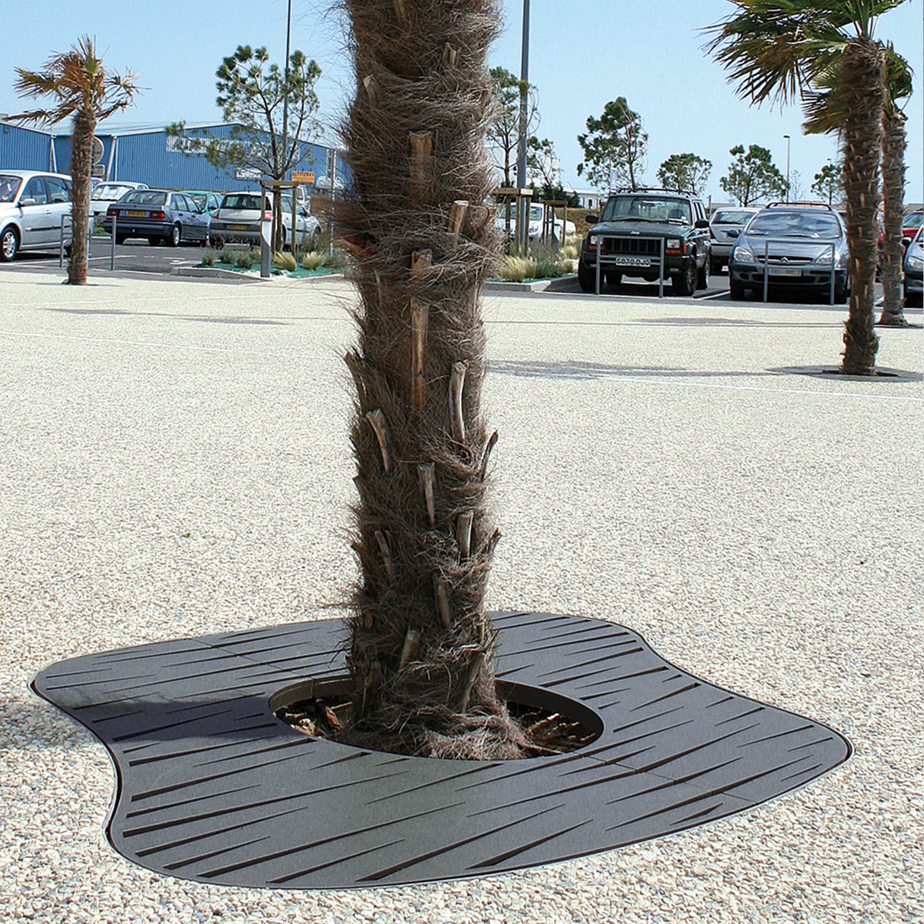 Display product Evolution Tree Grates from manufacturer Univers et Cité - Mobilier urbain