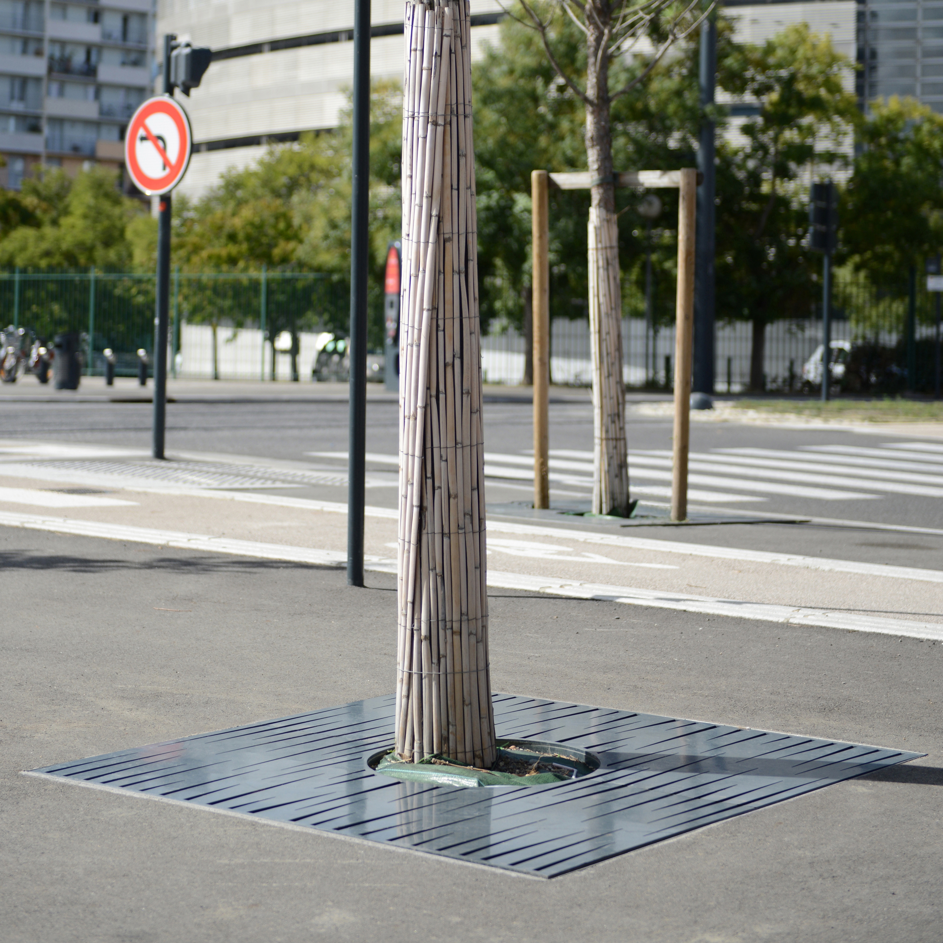 Display product Evolution Tree Grates from manufacturer Univers et Cité - Mobilier urbain