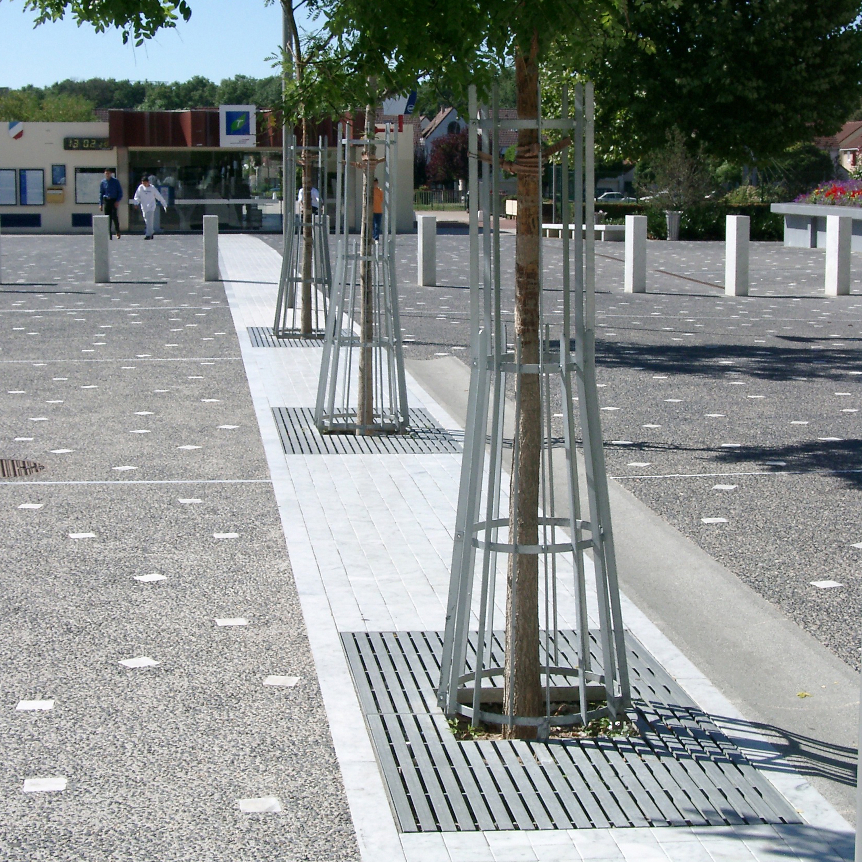 Linéance Tree Guard