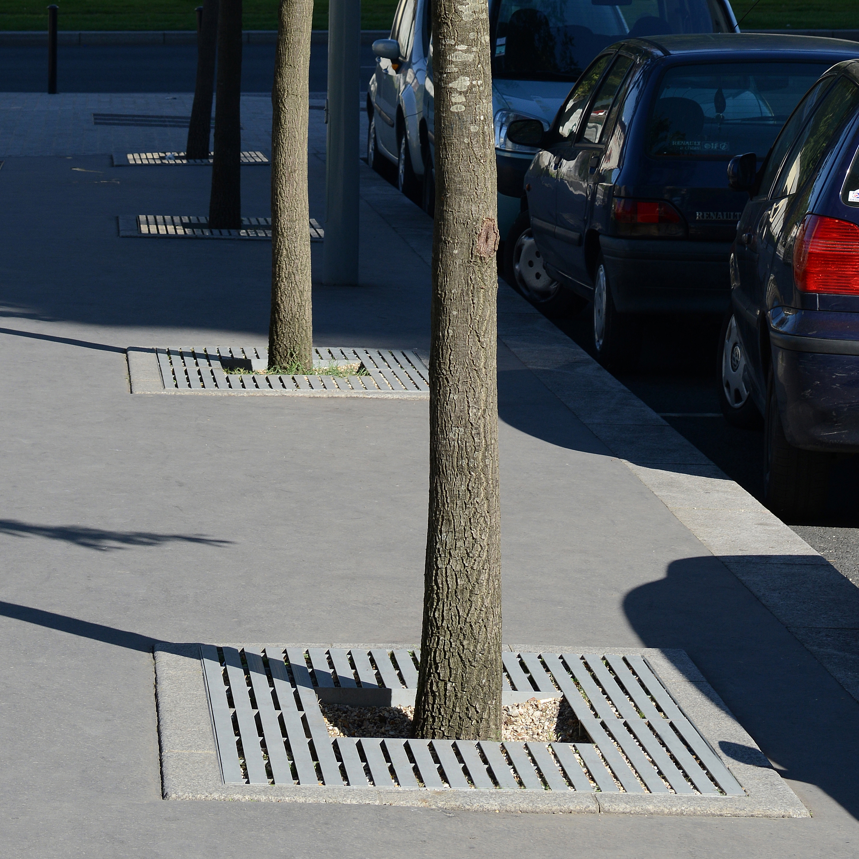 Display product Synergie Tree Grates from manufacturer Univers et Cité - Mobilier urbain
