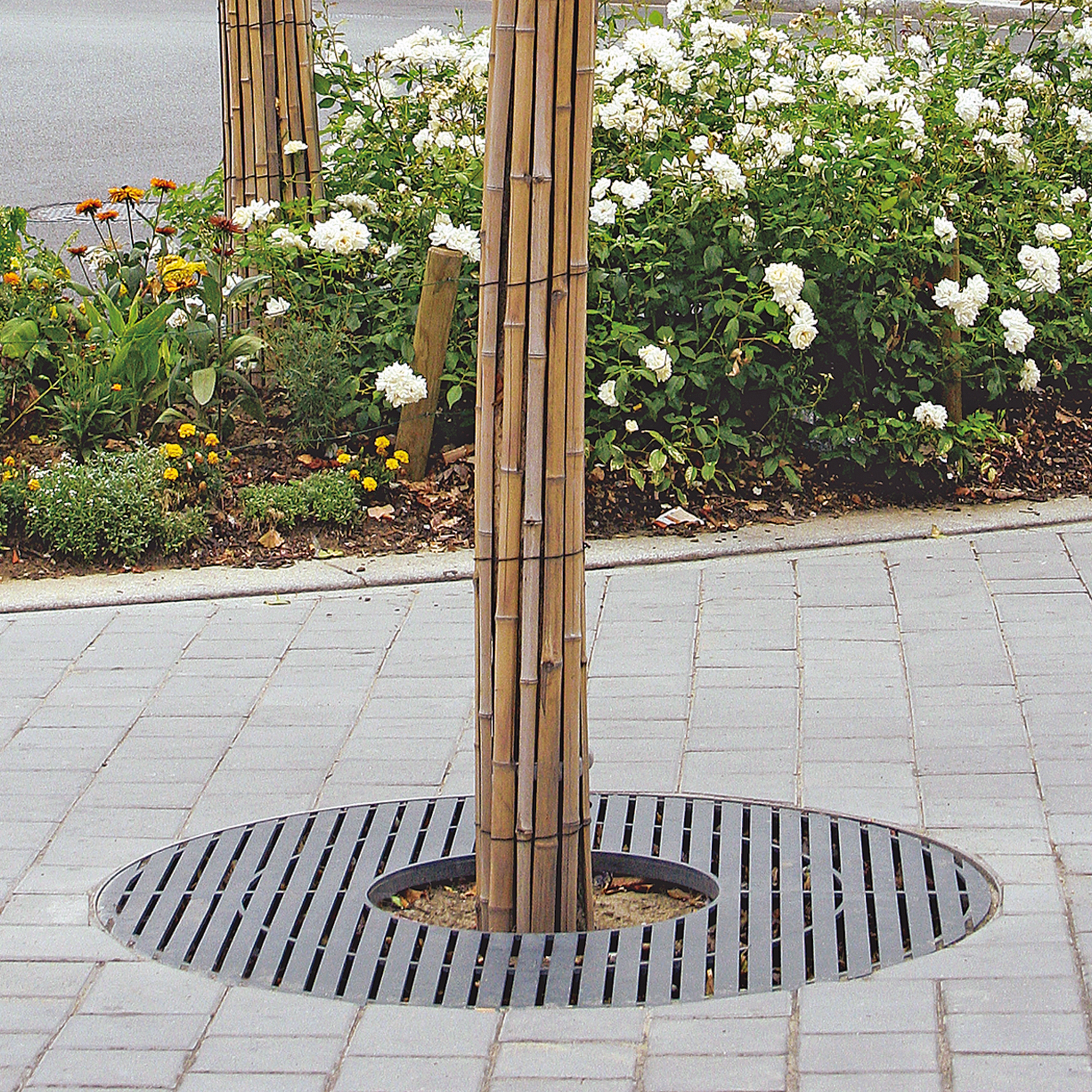 Display product Synergie Tree Grates from manufacturer Univers et Cité - Mobilier urbain