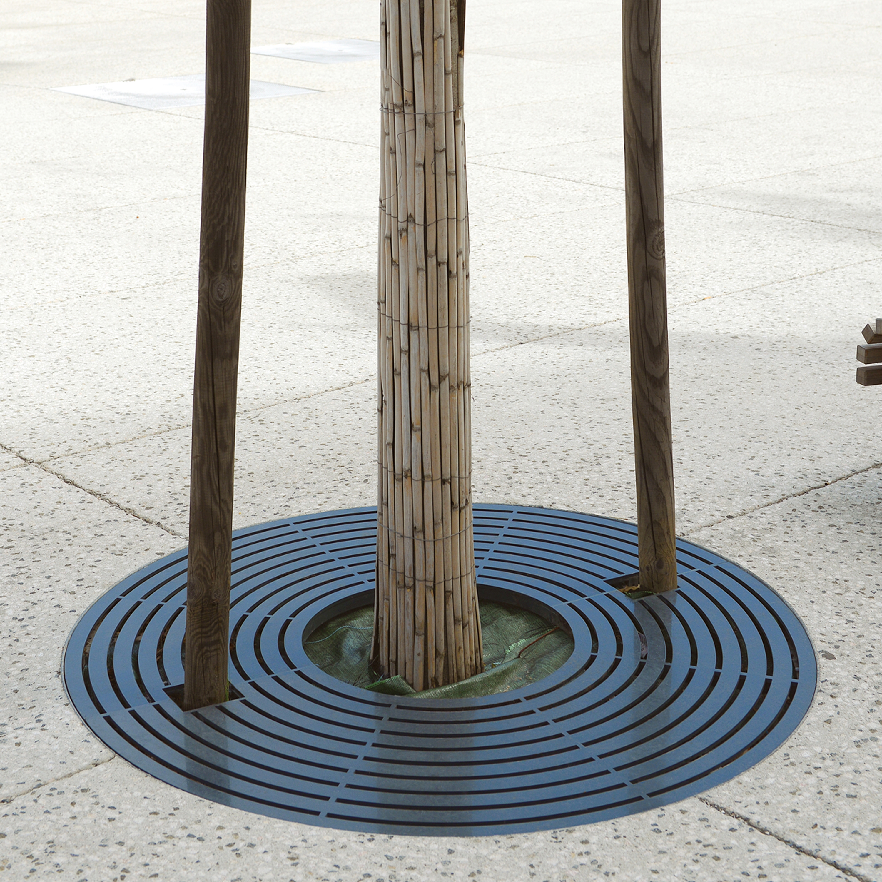 Display product Synergie Tree Grates from manufacturer Univers et Cité - Mobilier urbain