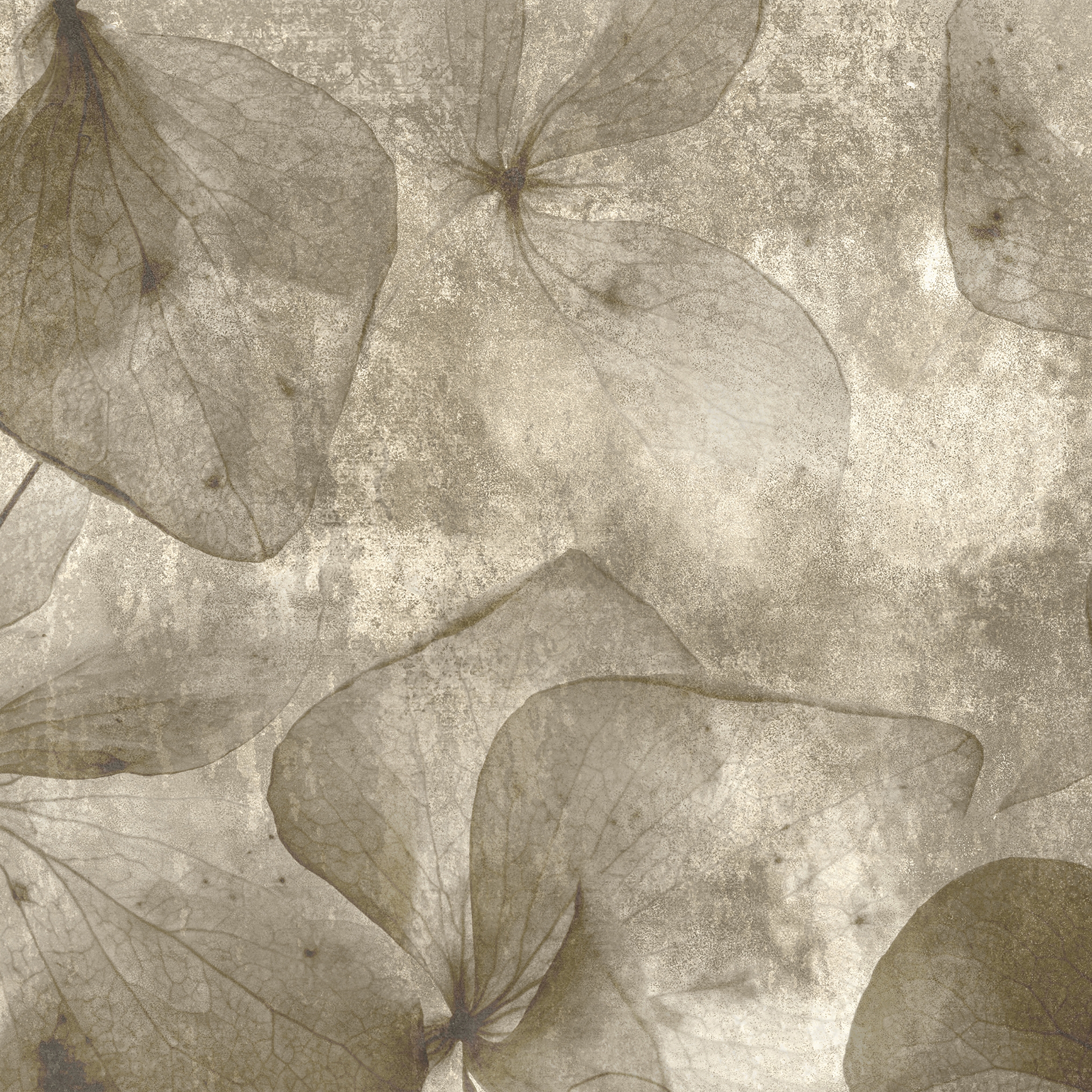 Mostra il prodotto Aloha Collection | AH 102 del produttore Affreschi & Affreschi