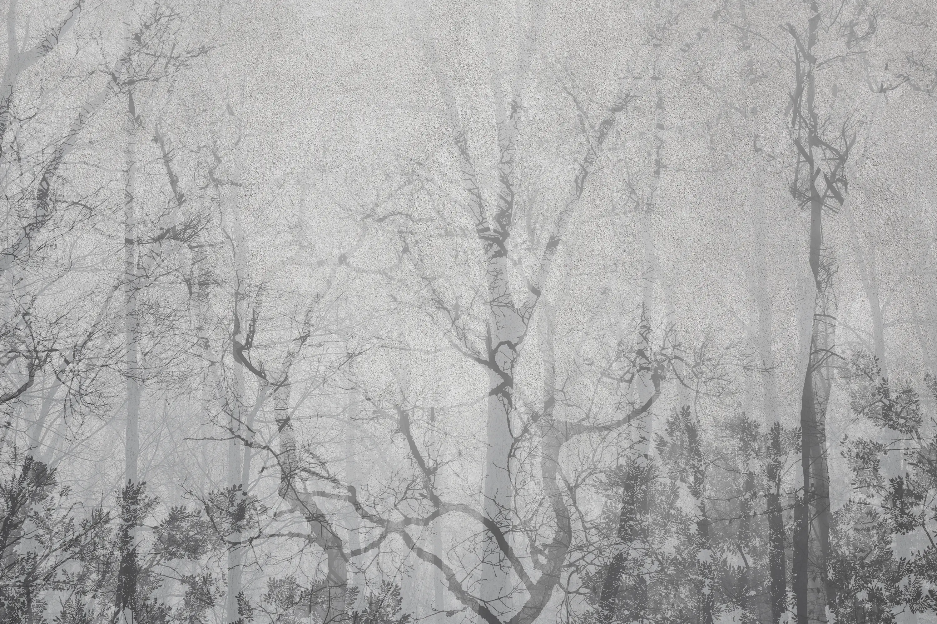 Affreschi & Affreschi - Shadows Collection | SH 04