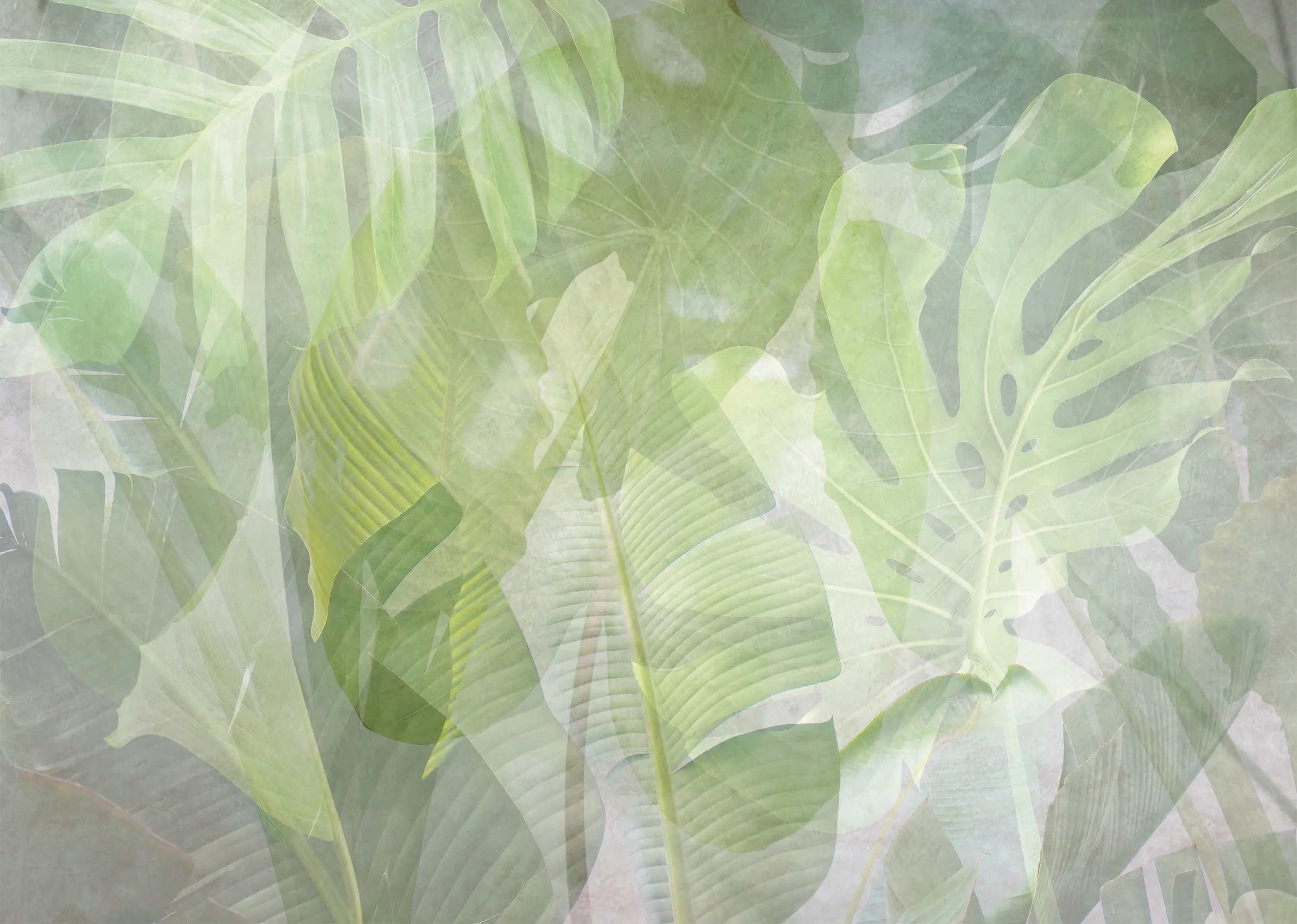 Affreschi & Affreschi - Shadows Collection | SH 13