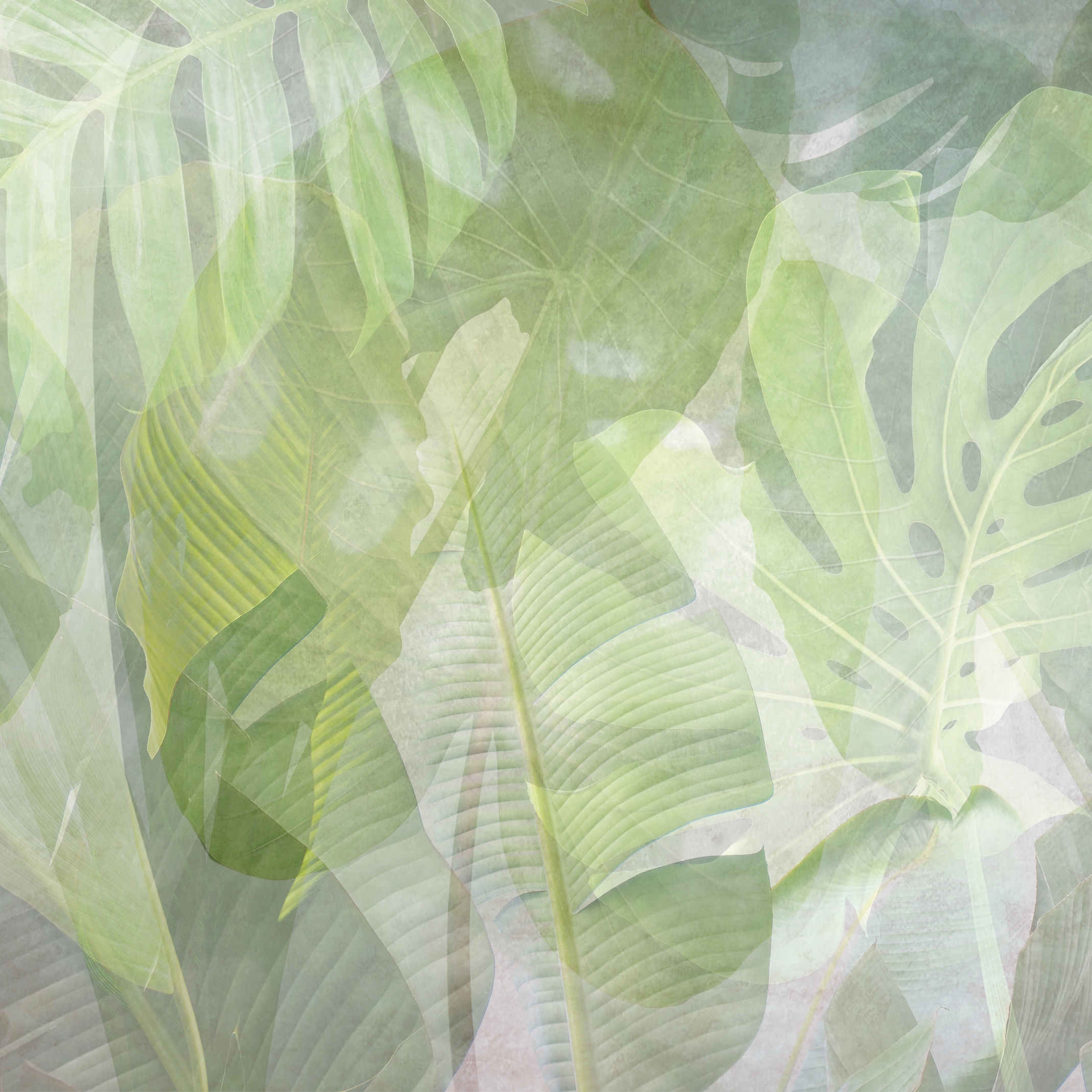 Display product Shadows Collection | SH 13 from manufacturer Affreschi & Affreschi
