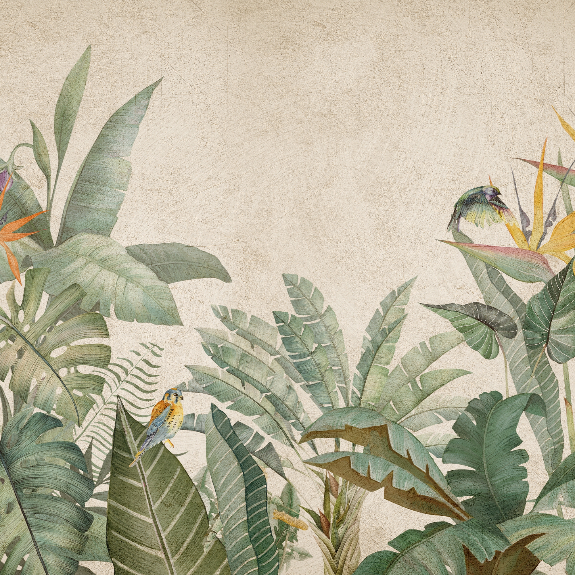Display product Shadows Collection | SH 15 from manufacturer Affreschi & Affreschi