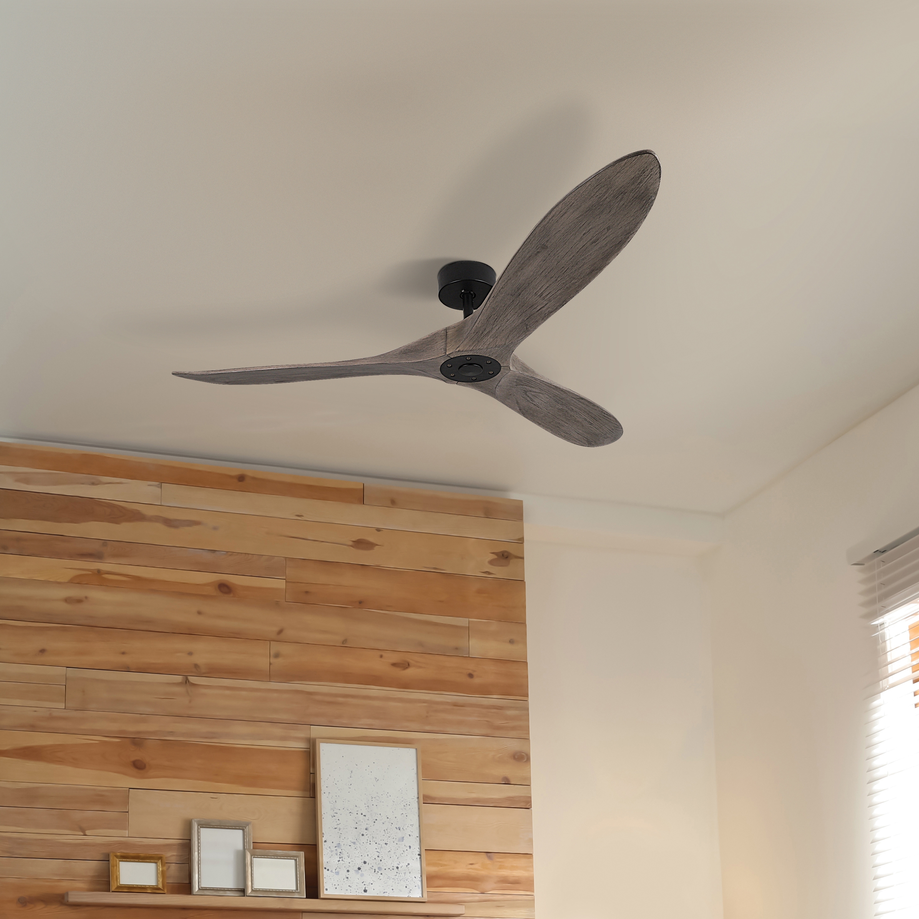 CEILING FANS