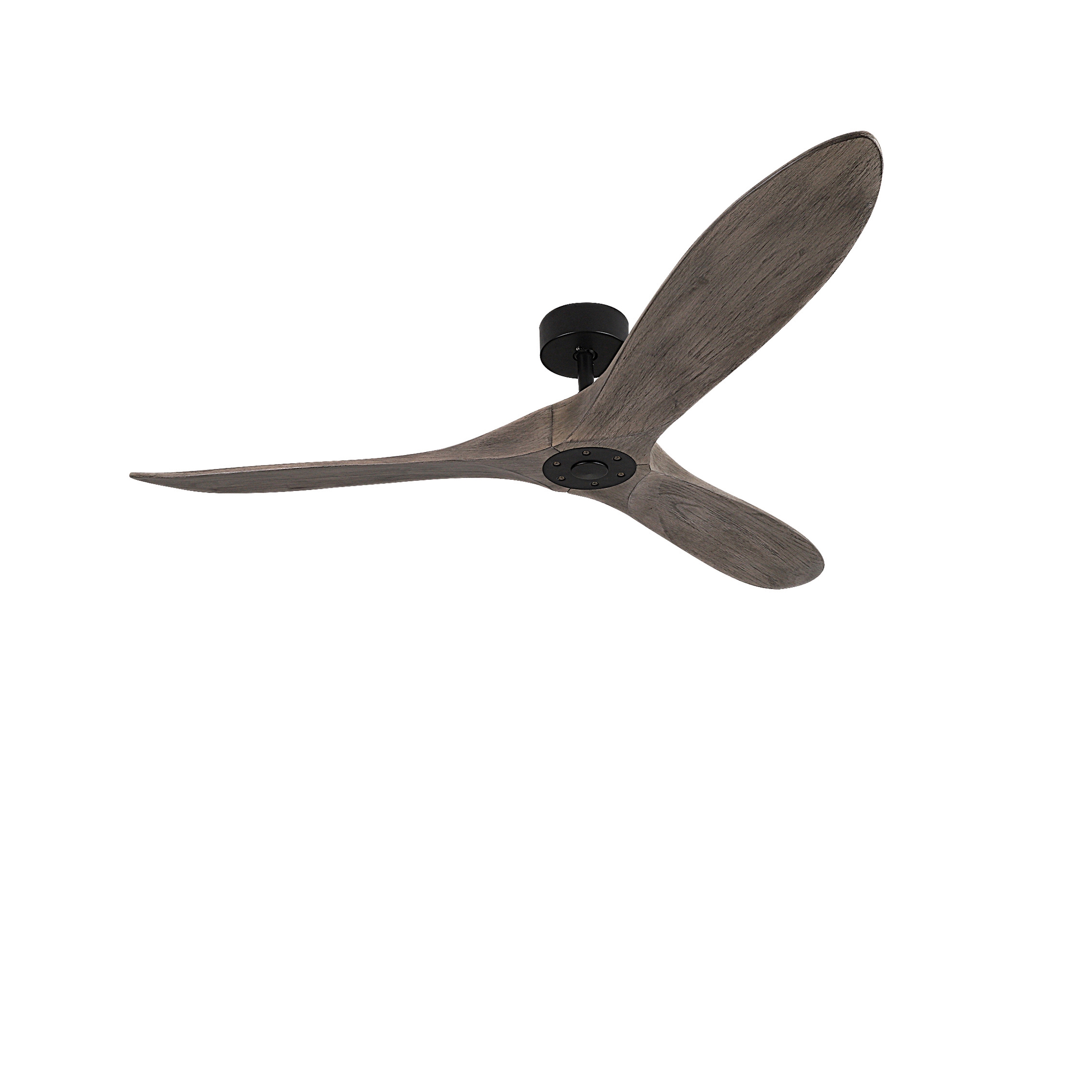 Mostrar el producto Fans | 20259 del fabricante ALPHABET by Zambelis