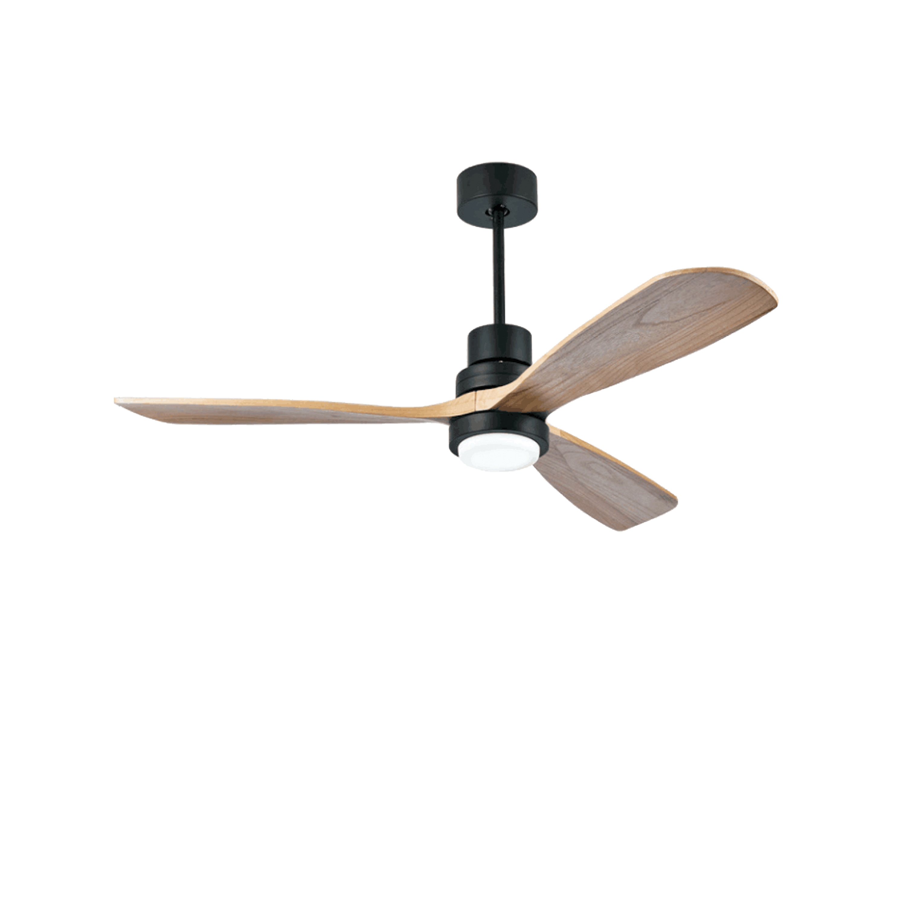 Mostrar el producto Fans | 19141 del fabricante ALPHABET by Zambelis