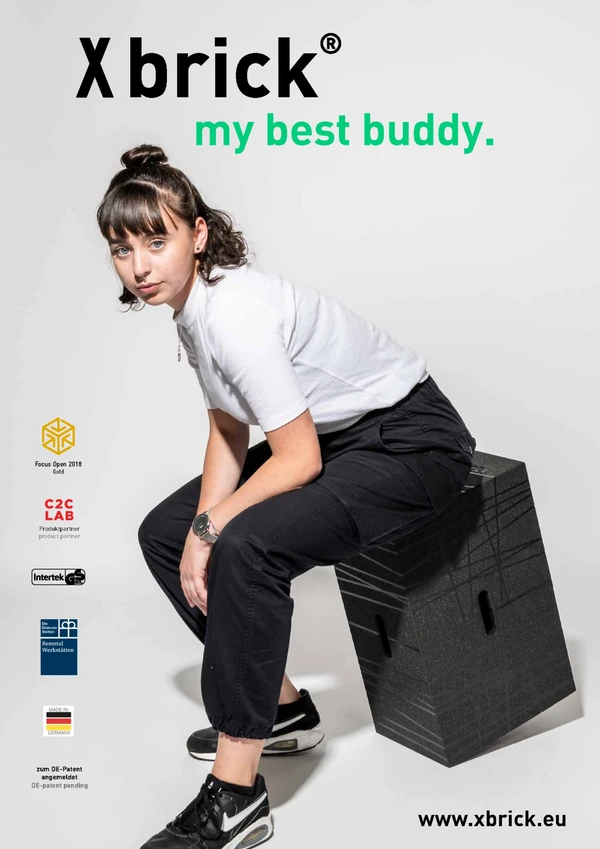 Preview image for the file xbrick - my best buddy