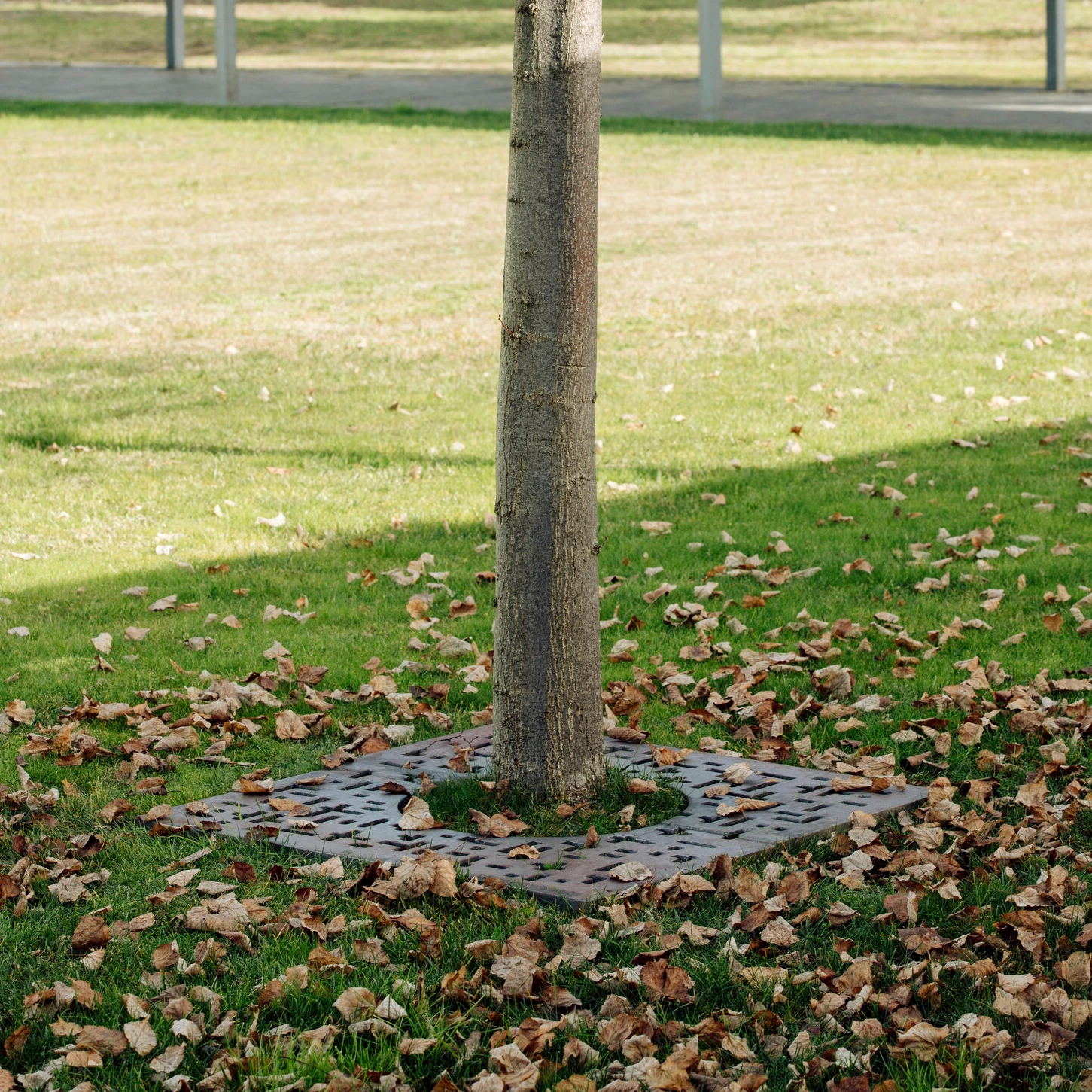 TREE GRATES
