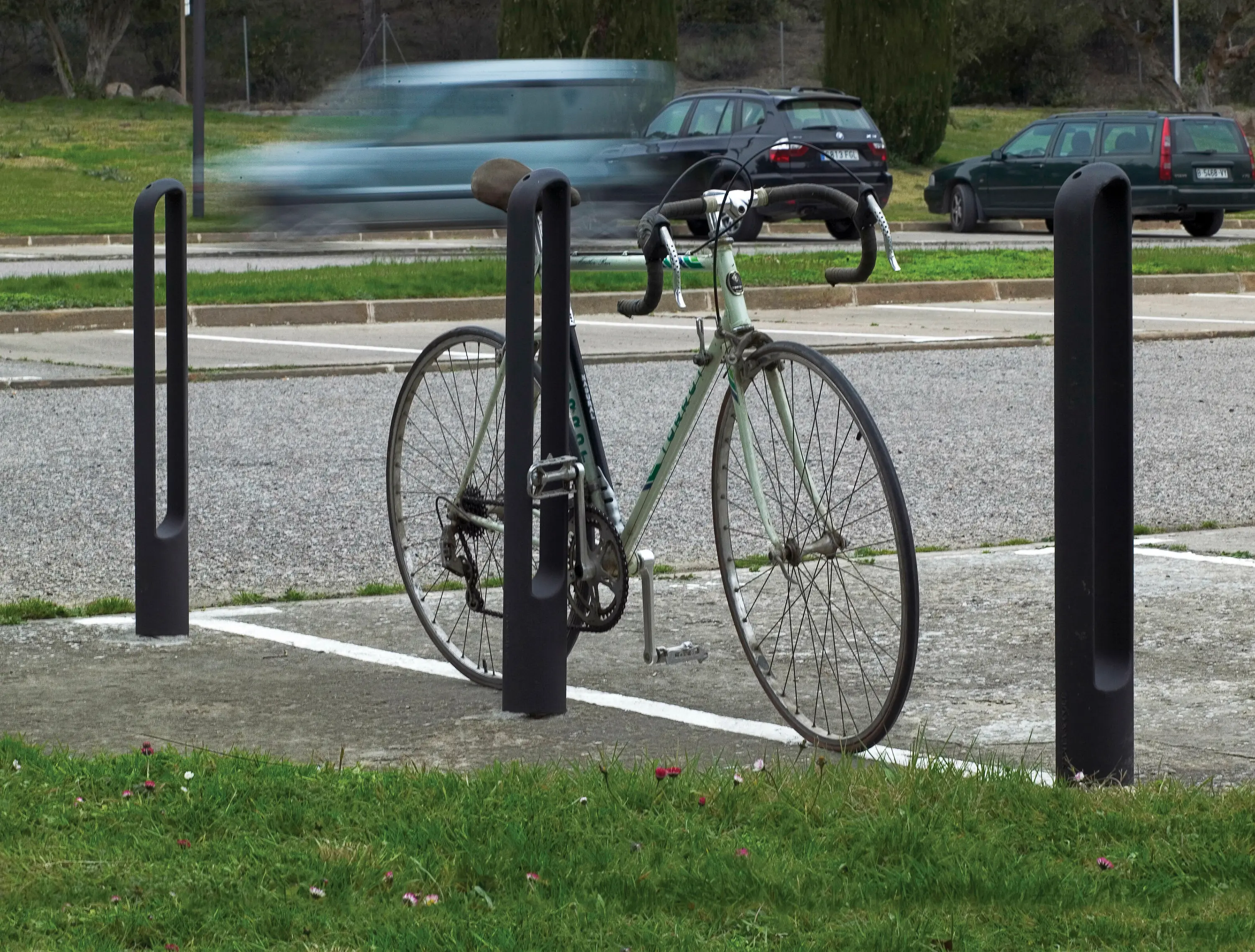 Urbidermis - Sammy | Bollard