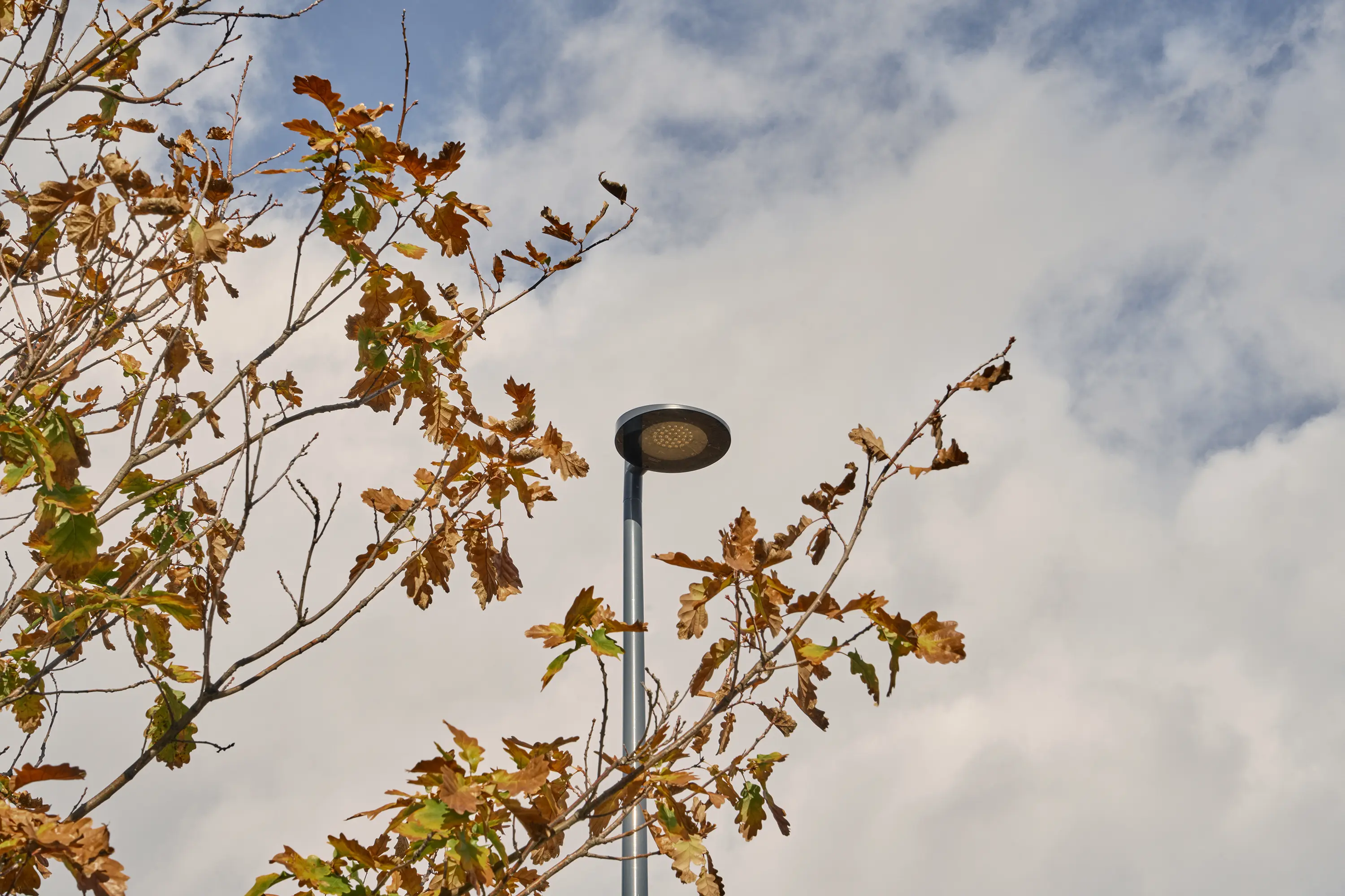 Urbidermis - Slope | Column lighting