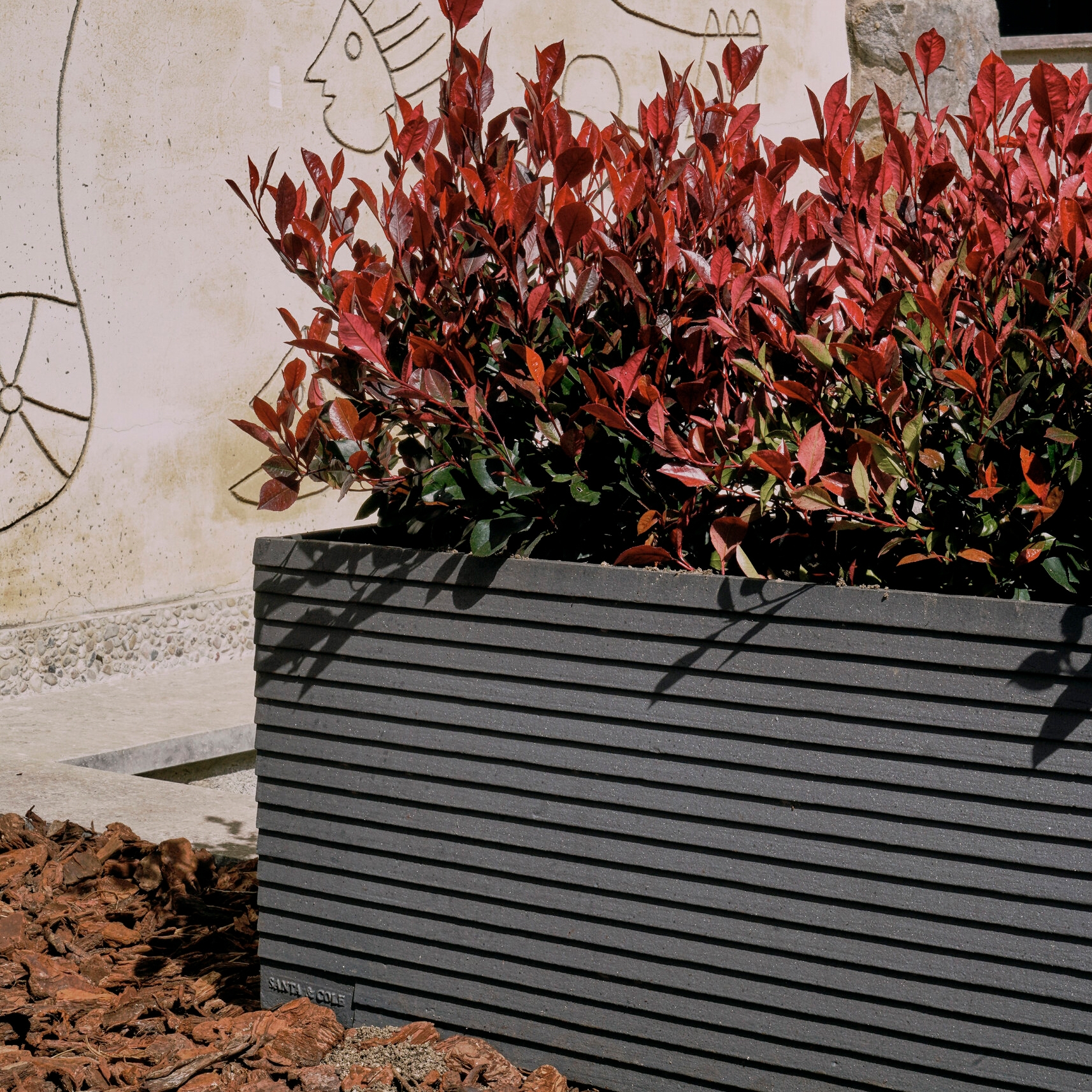 Display product Tram | Planter from manufacturer Urbidermis