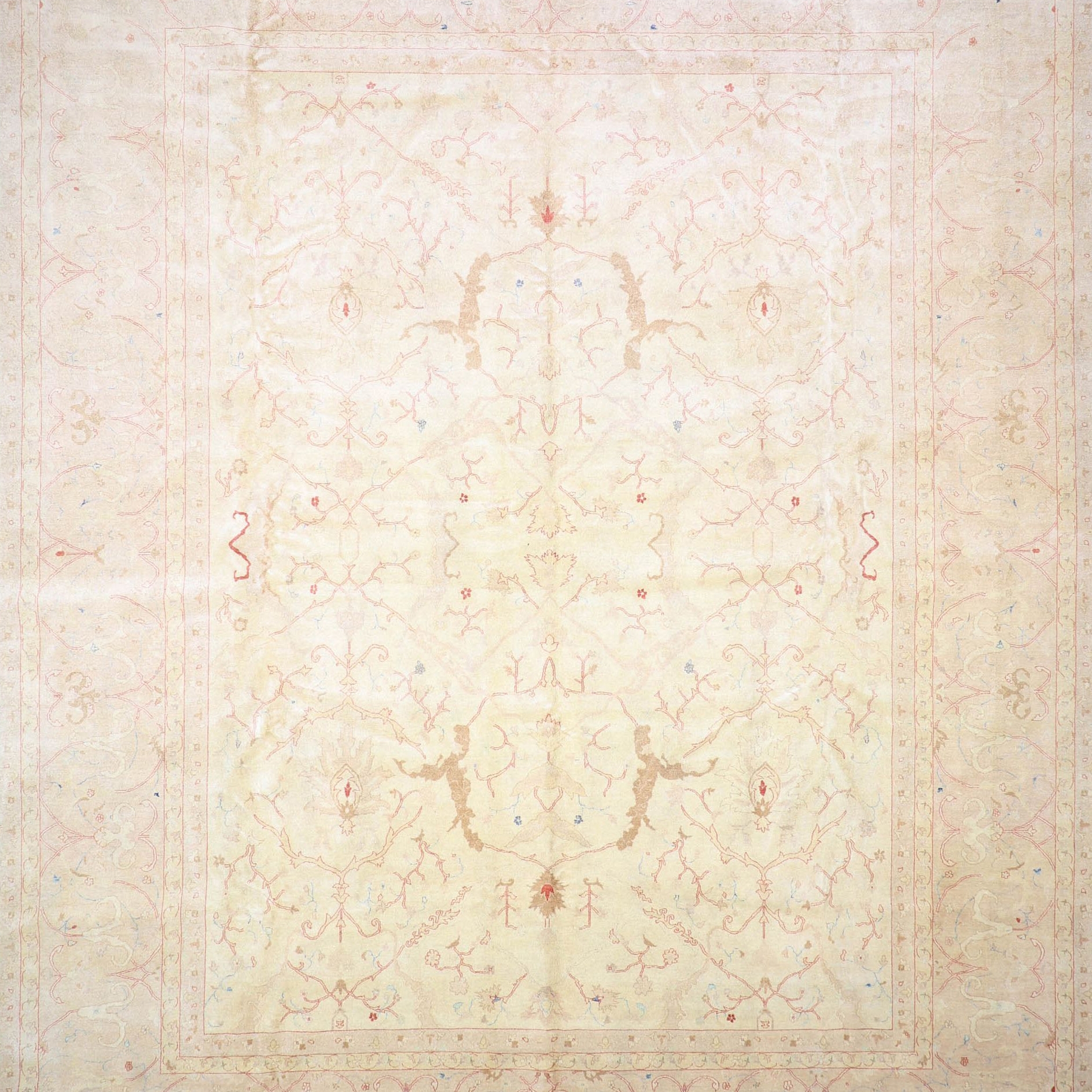 Mostra il prodotto Tabriz del produttore Knotique