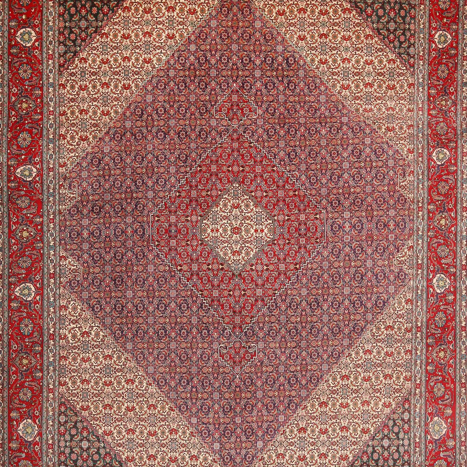 Tabriz 40 Raj Fine Mahi