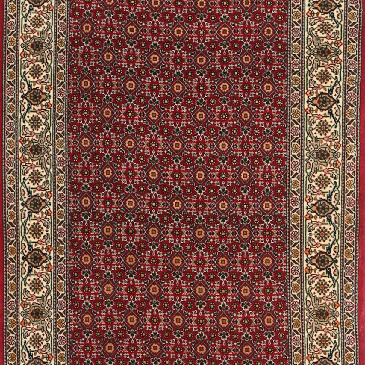 Tabriz-50-Raj