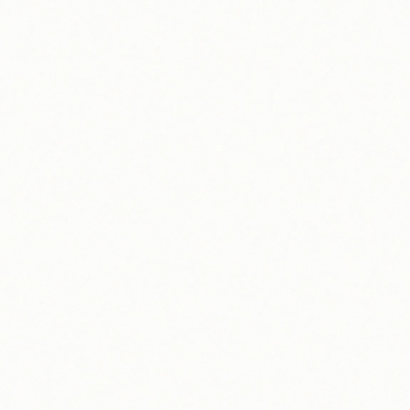 Arctic White (S006)