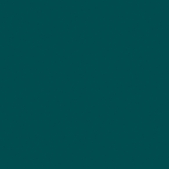 Evergreen (S119)