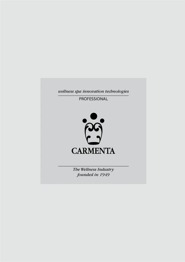 Image d’aperçu du fichier PROFESSIONAL