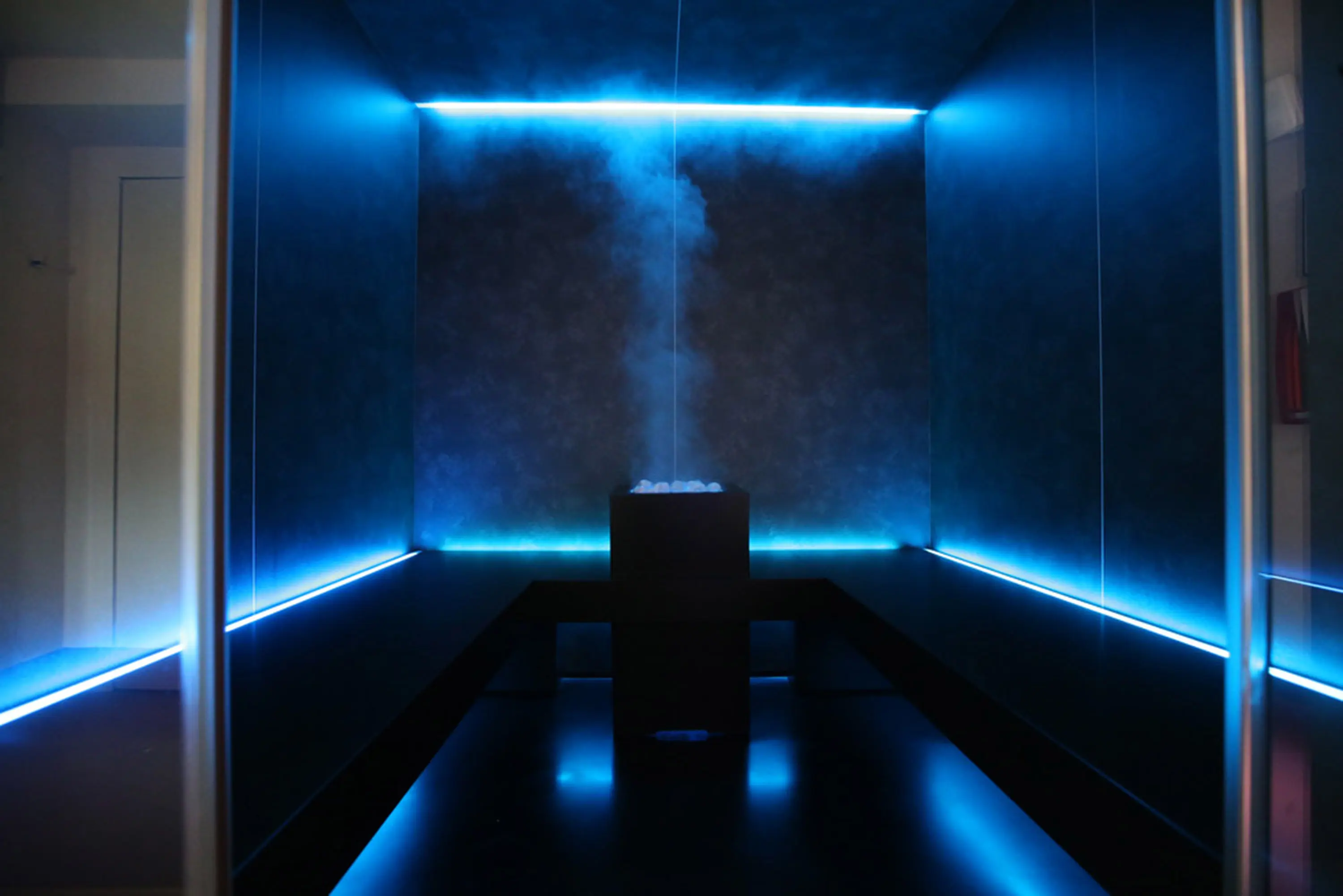 Carmenta | The Wellness Industry - Dream Steam Pro