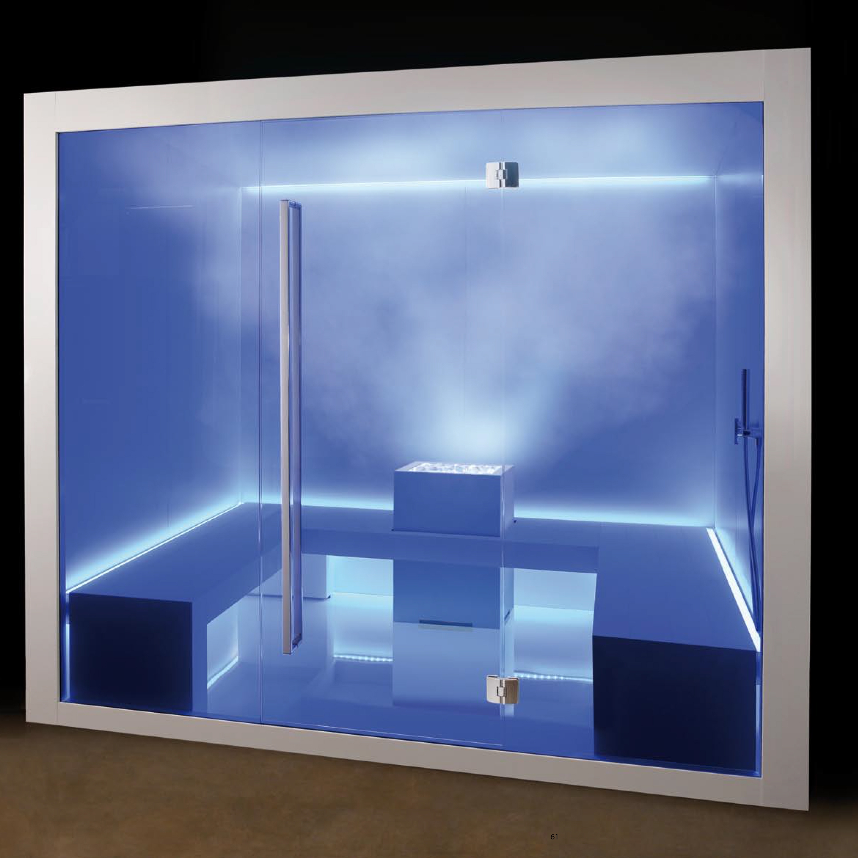 Display product Dream Steam Pro from manufacturer Carmenta | The Wellness Industry