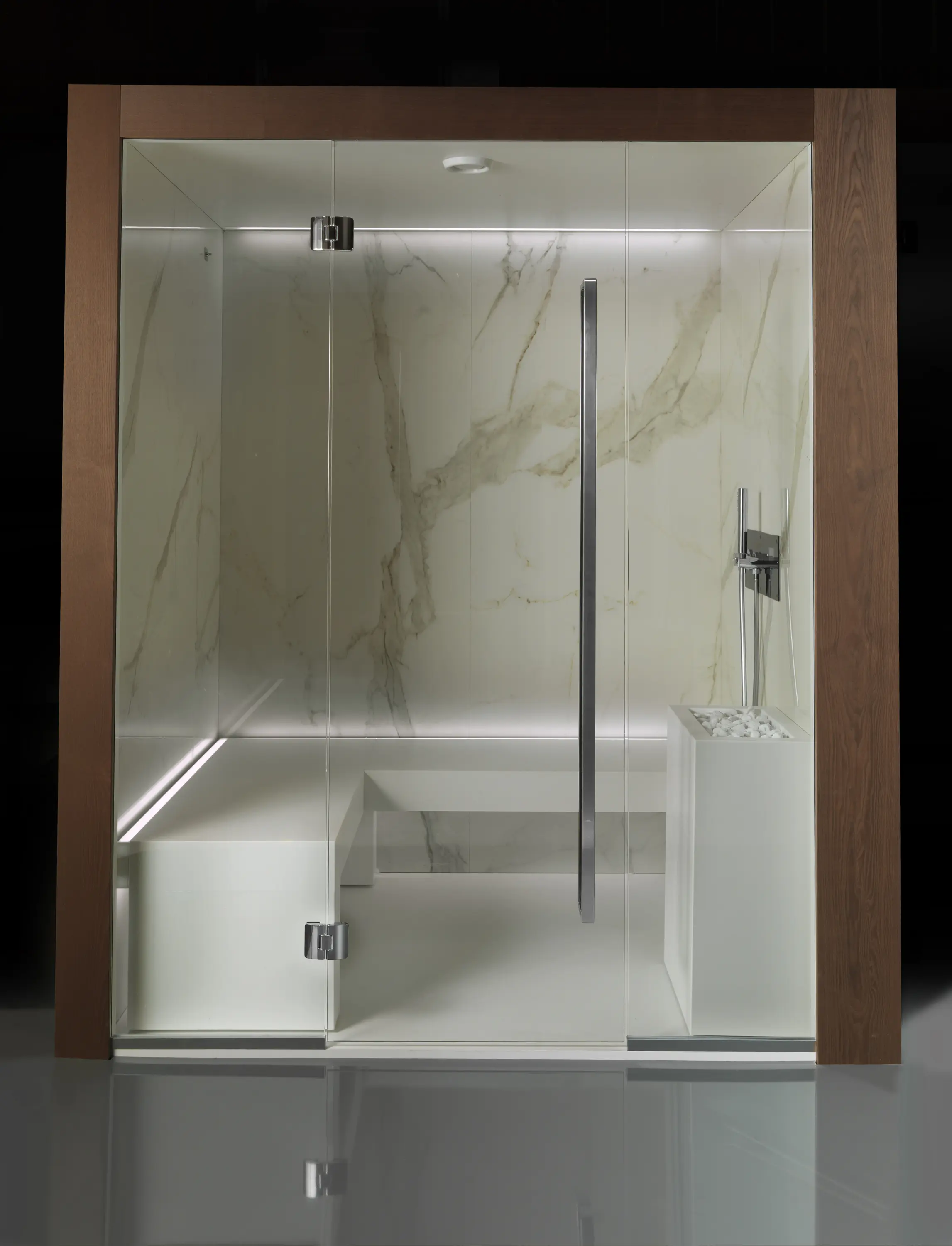 Carmenta | The Wellness Industry - Dream Steam Pro