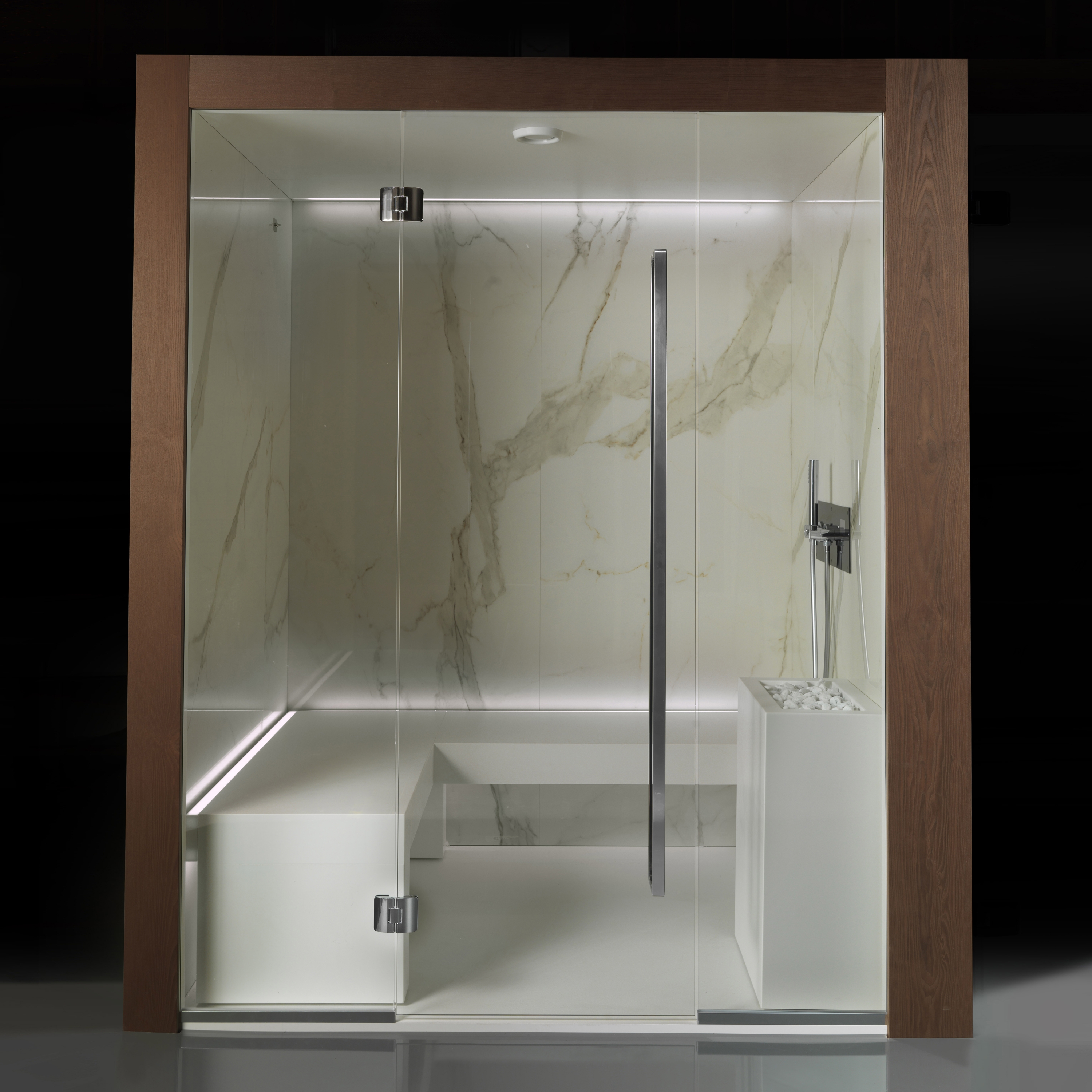 Display product Dream Steam Pro from manufacturer Carmenta | The Wellness Industry