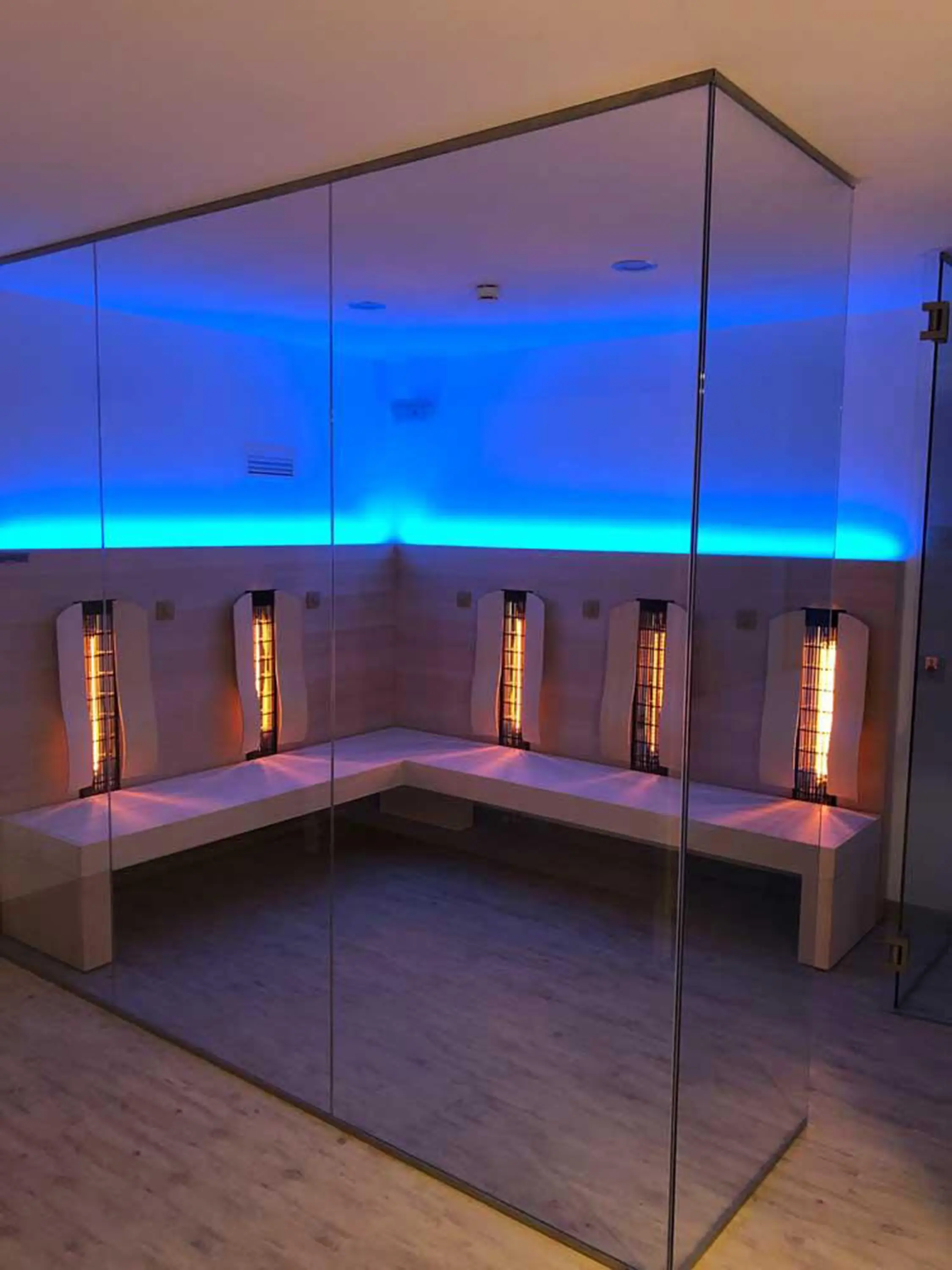 Carmenta | The Wellness Industry - Dream Sauna Infrared