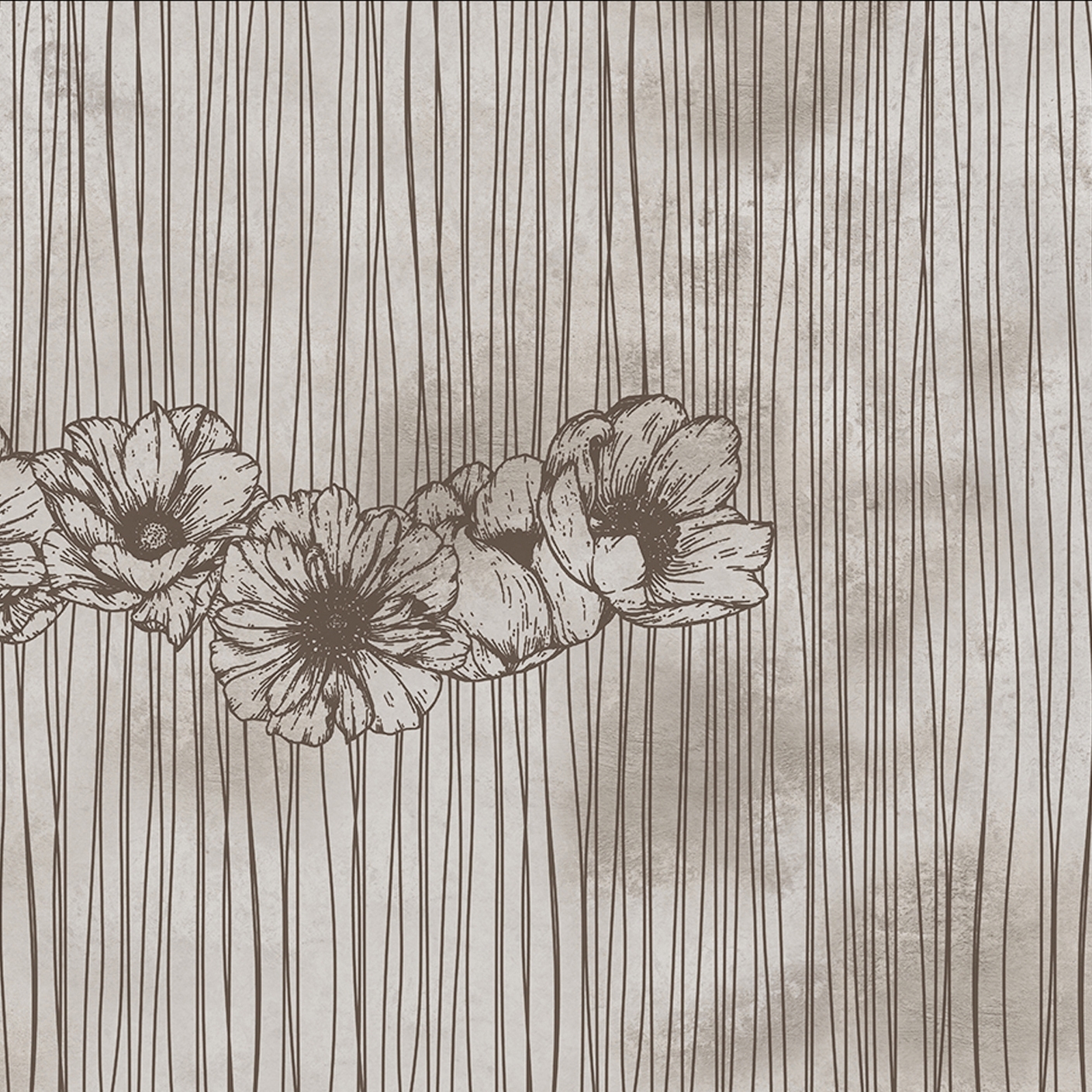 Anemone