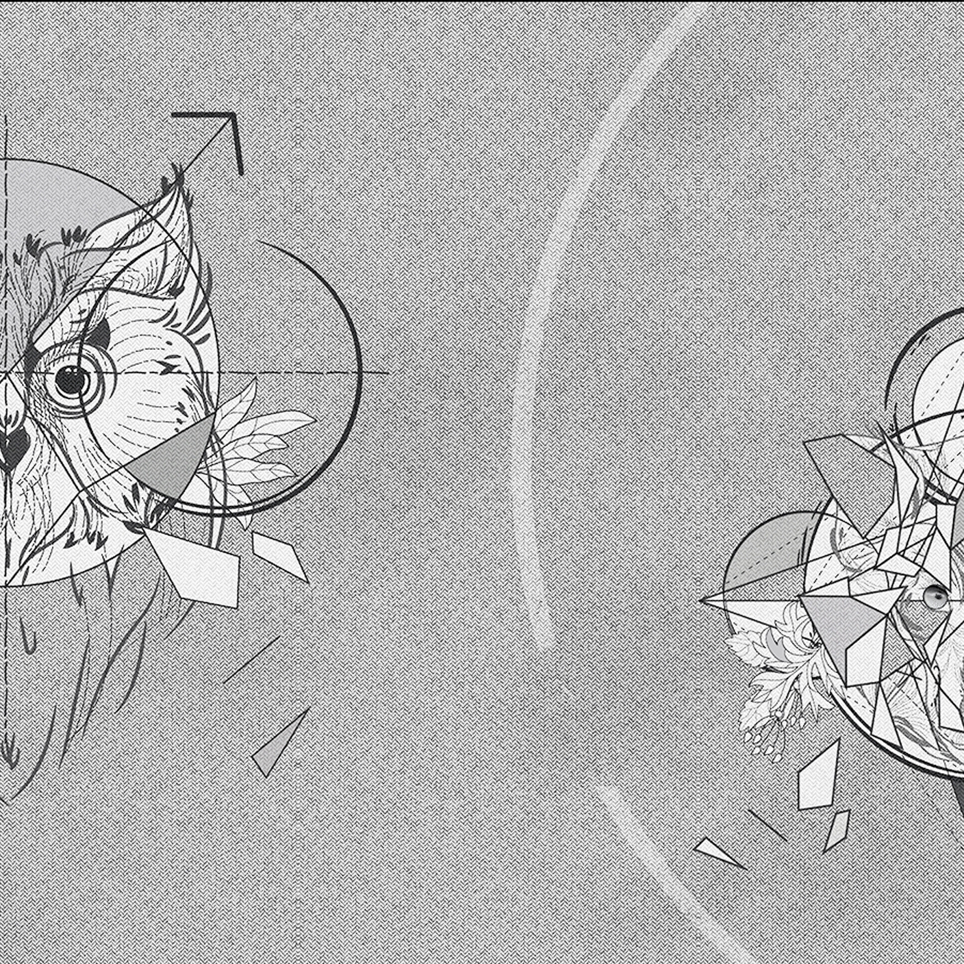 Animat