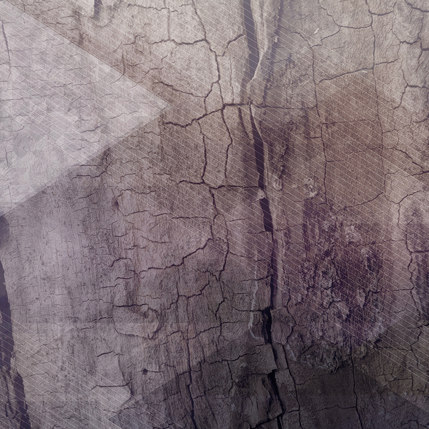 Mostra il prodotto Bark del produttore WallyArt