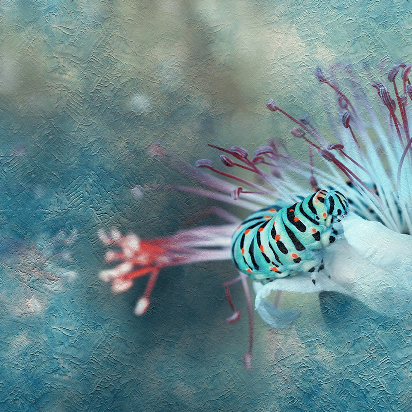 Mostra il prodotto Blueblast del produttore WallyArt